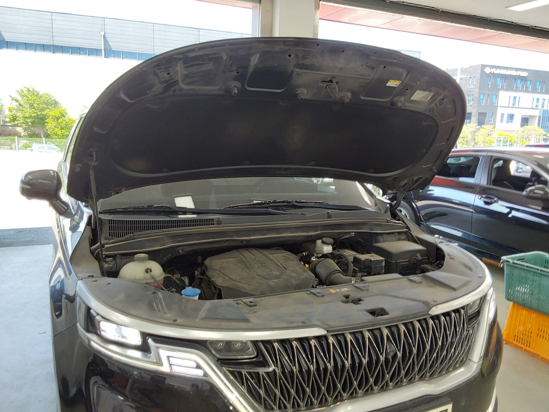2021 - kia carnival