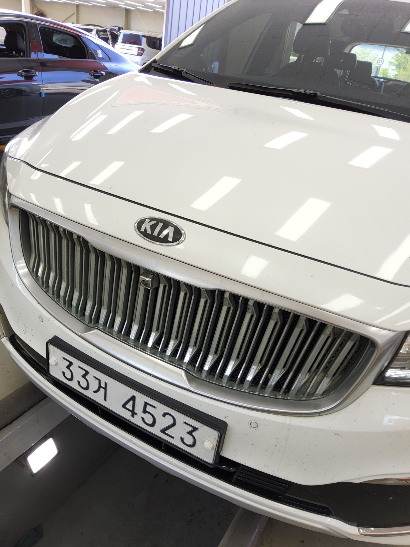 2018 - kia carnival