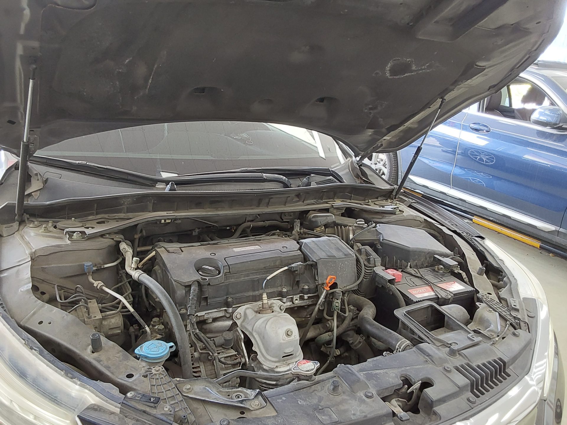 2017 - honda accord