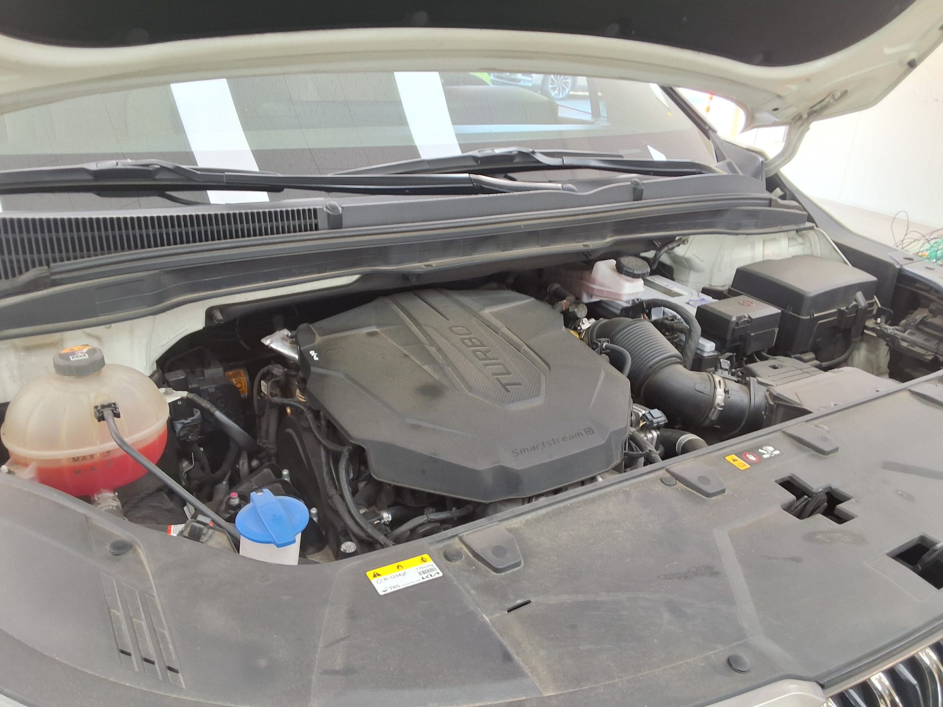 2023 - kia carnival