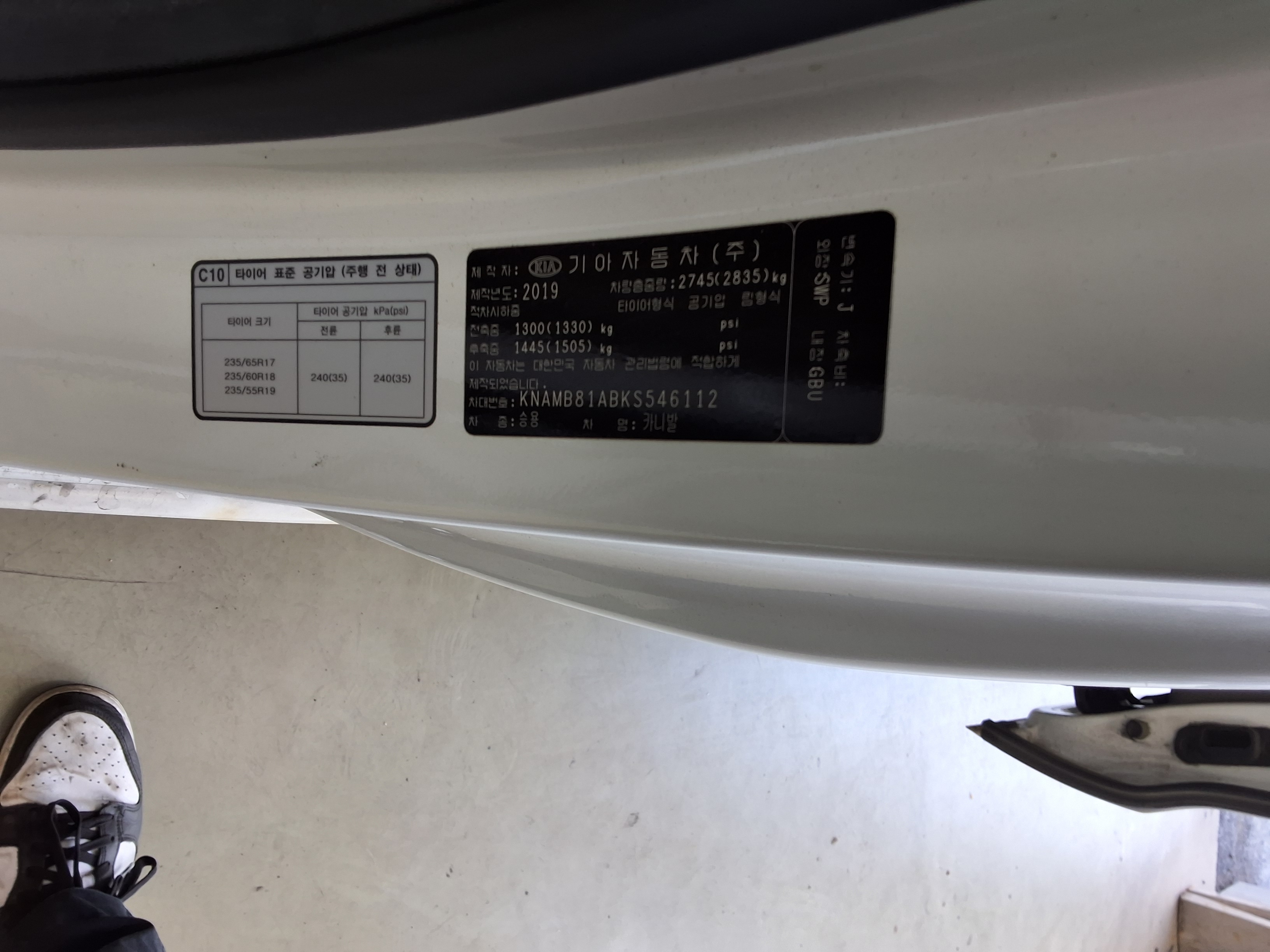 2019 - kia carnival