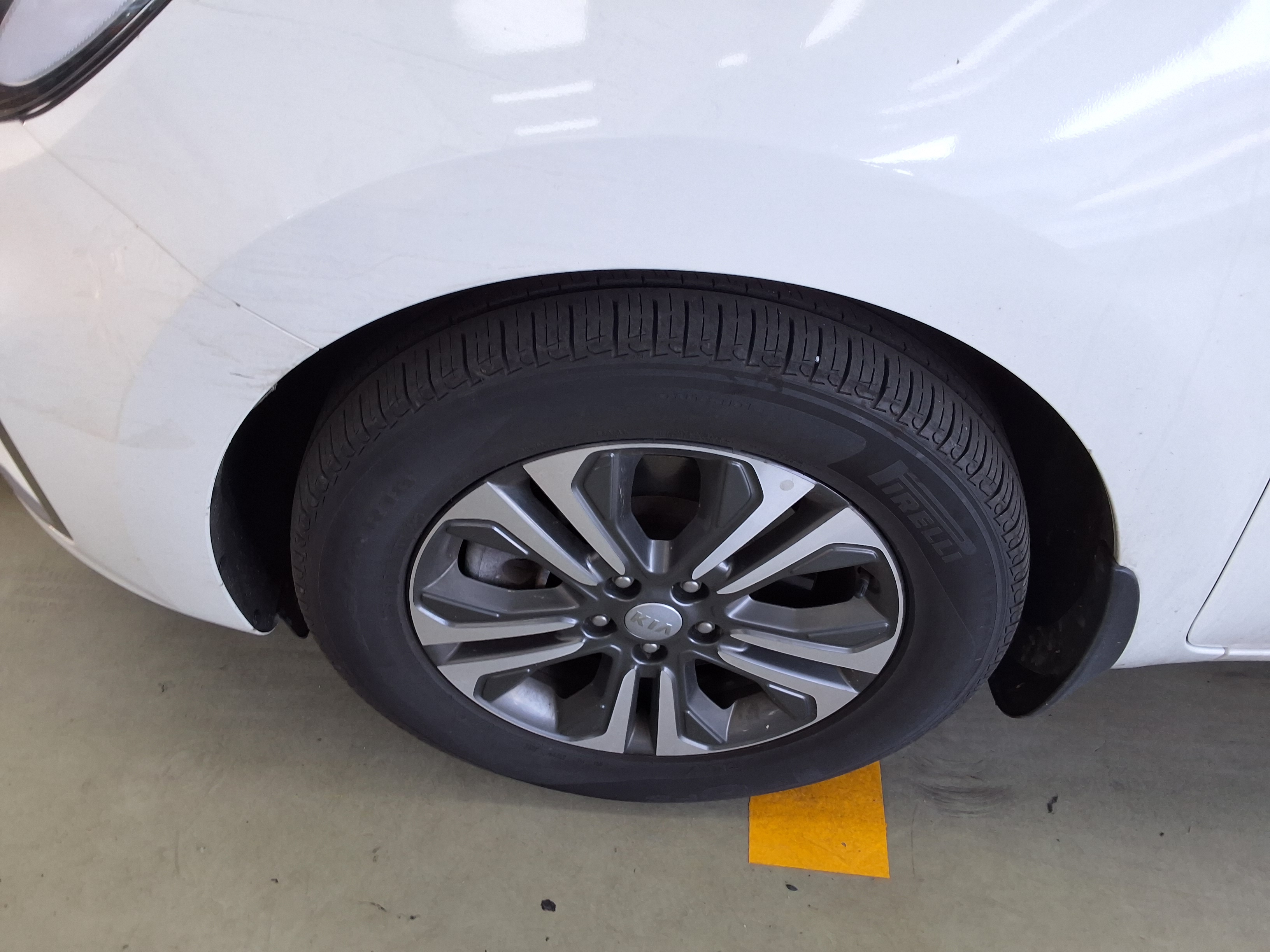 2019 - kia carnival