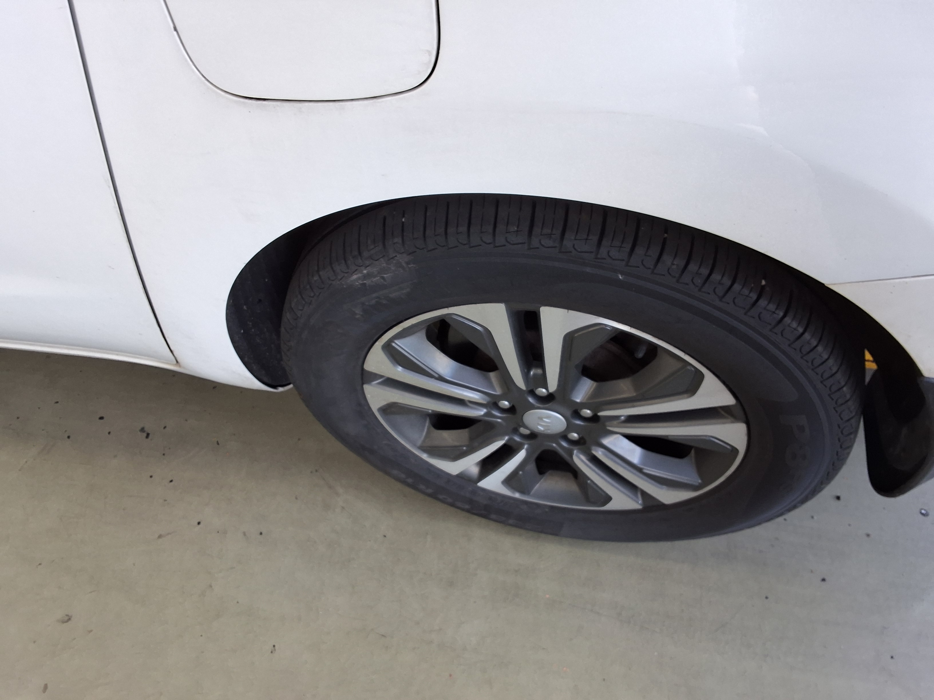 2019 - kia carnival