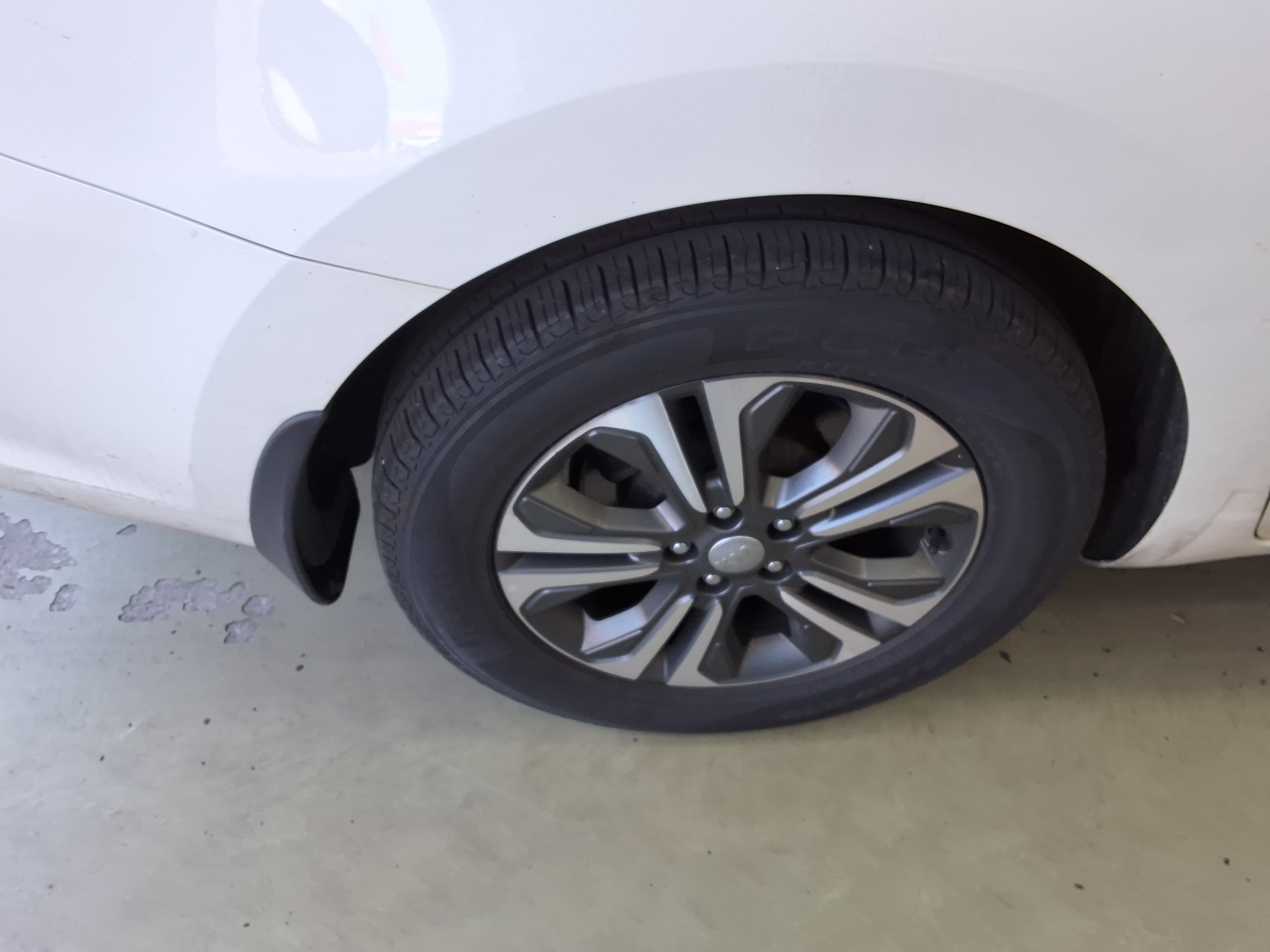 2019 - kia carnival