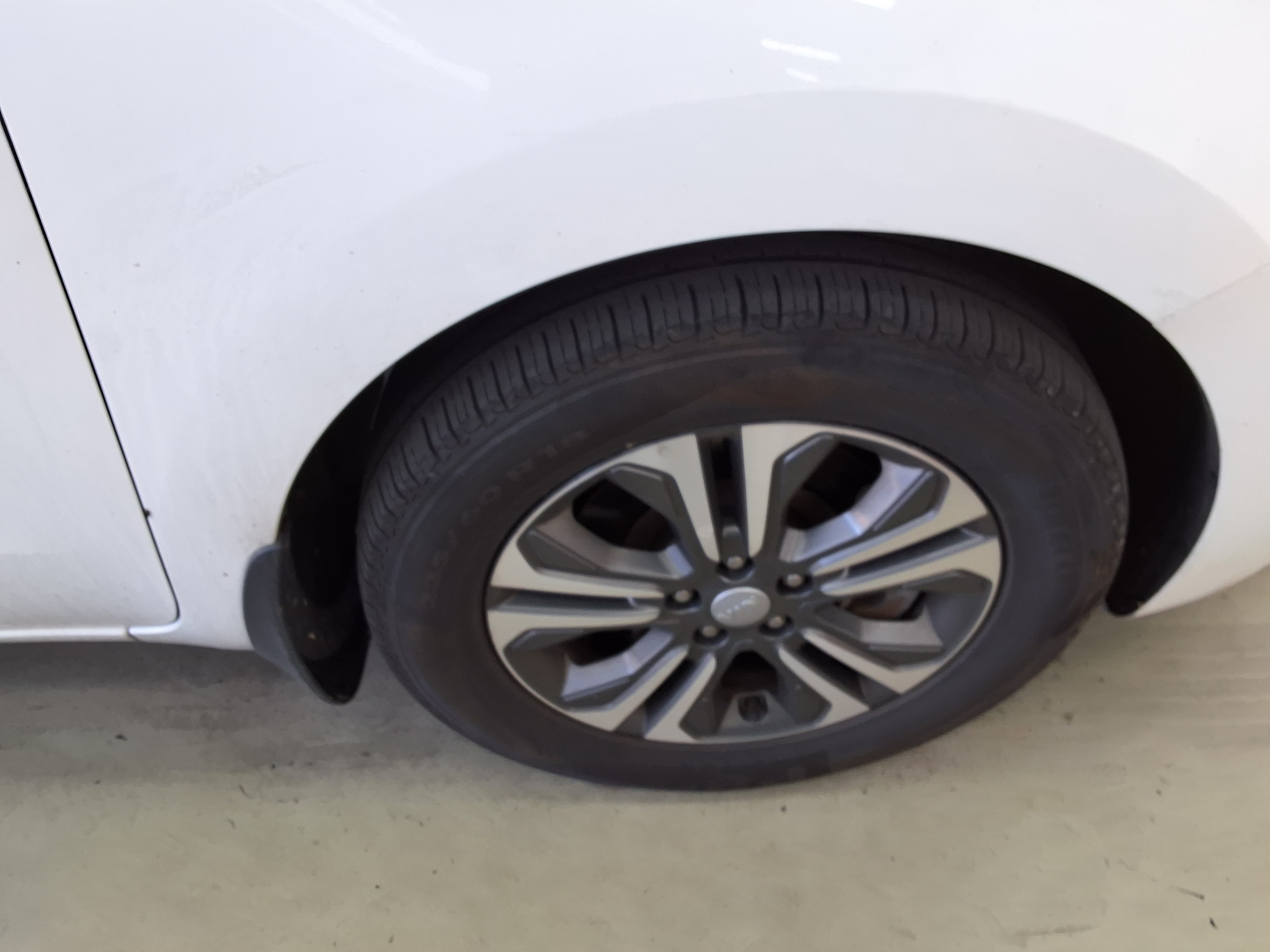 2019 - kia carnival