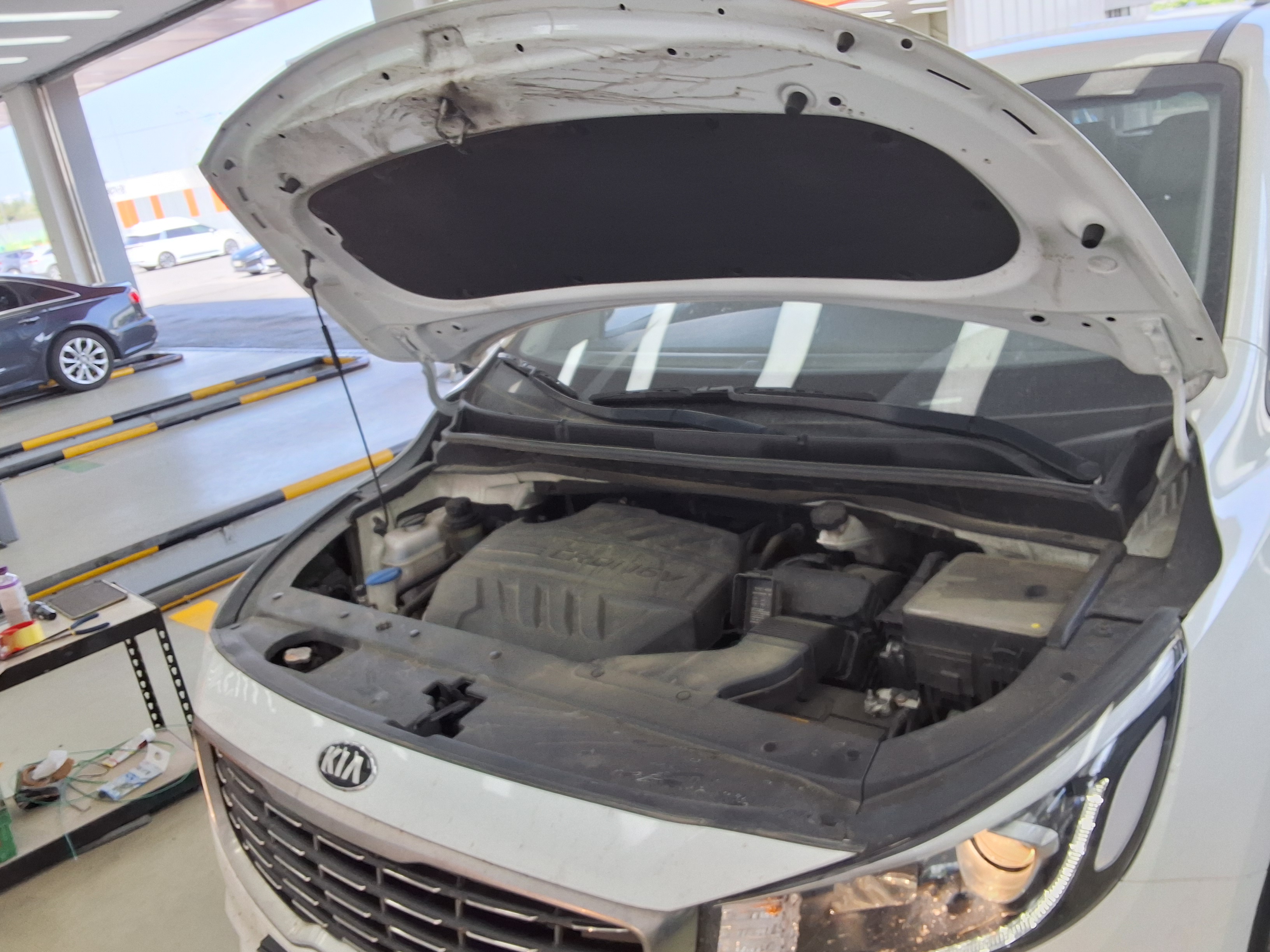 2019 - kia carnival
