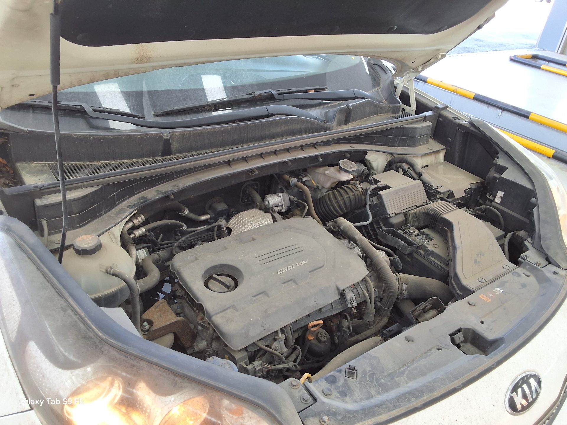 2018 - kia sportage