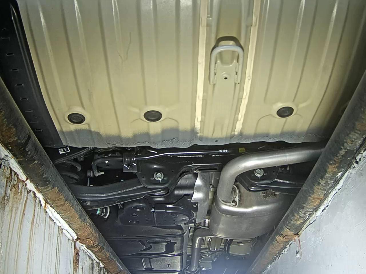 2023 - kia carnival