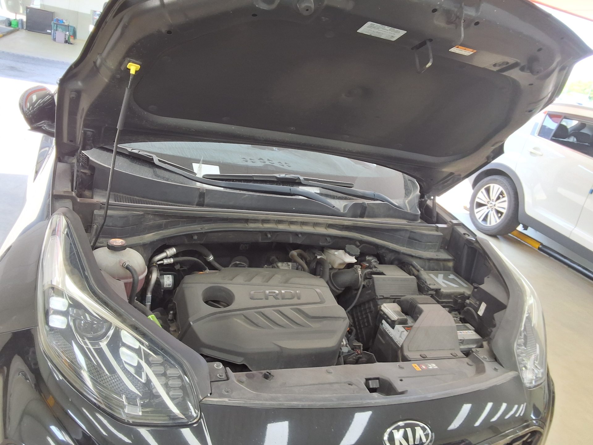 2019 - kia sportage