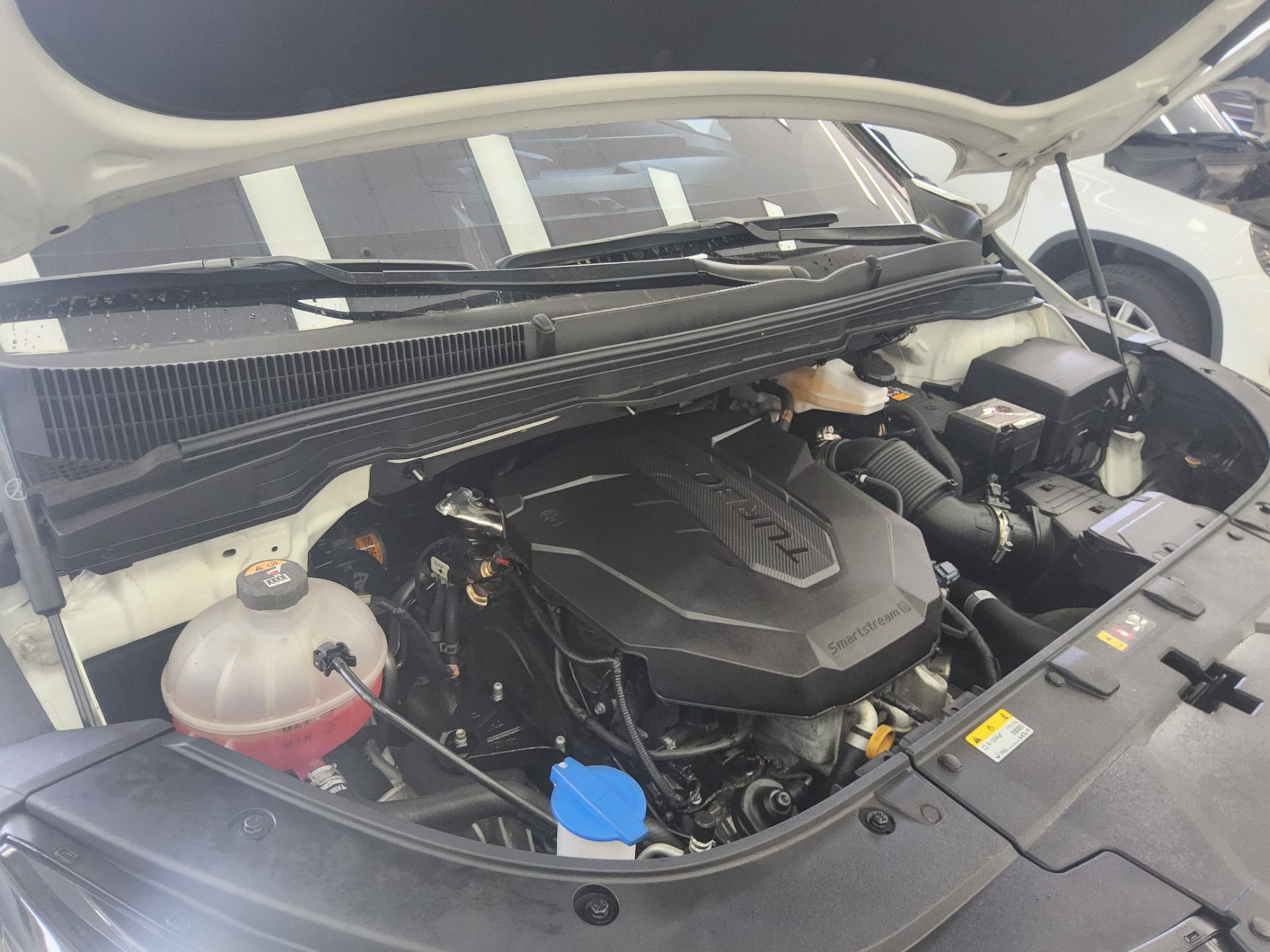 2025 - kia carnival