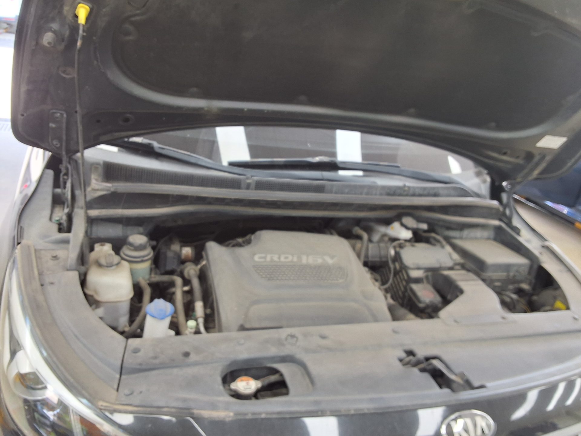 2015 - kia carnival