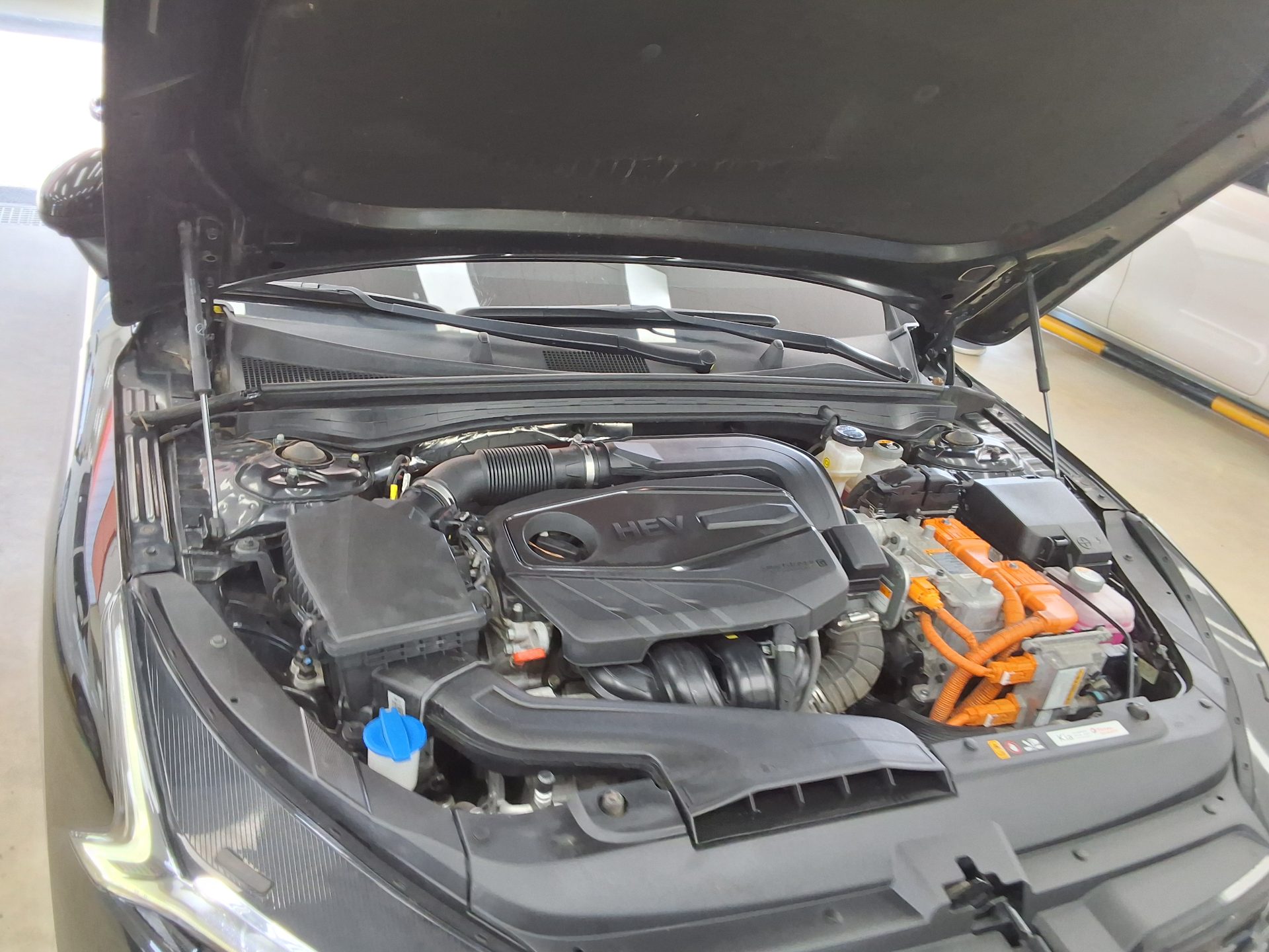 Kia K5 - 19