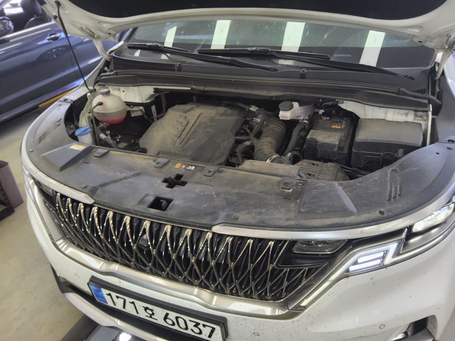 2023 - kia carnival