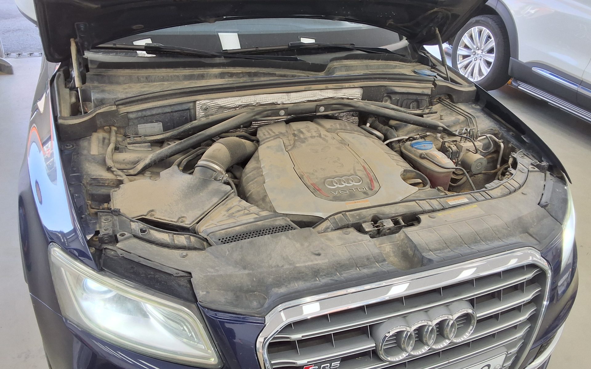 Audi SQ5 - 19
