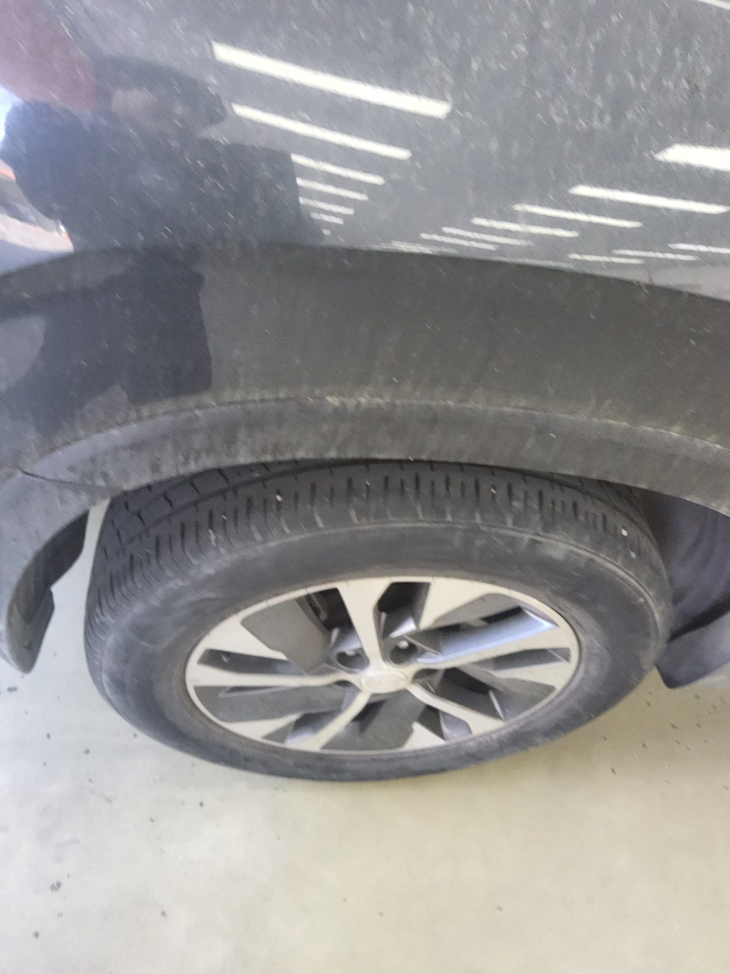 2019 - hyundai palisade