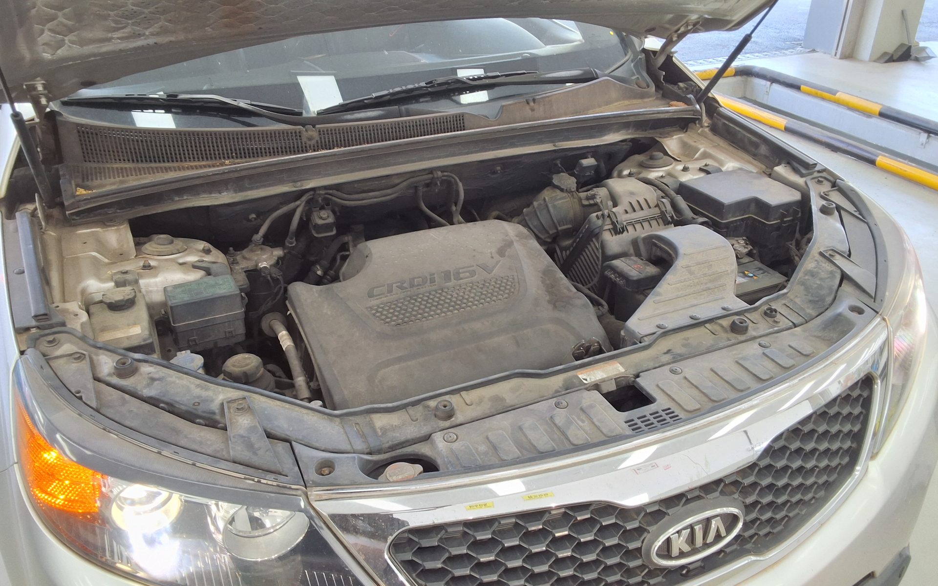 2010 - kia sorento