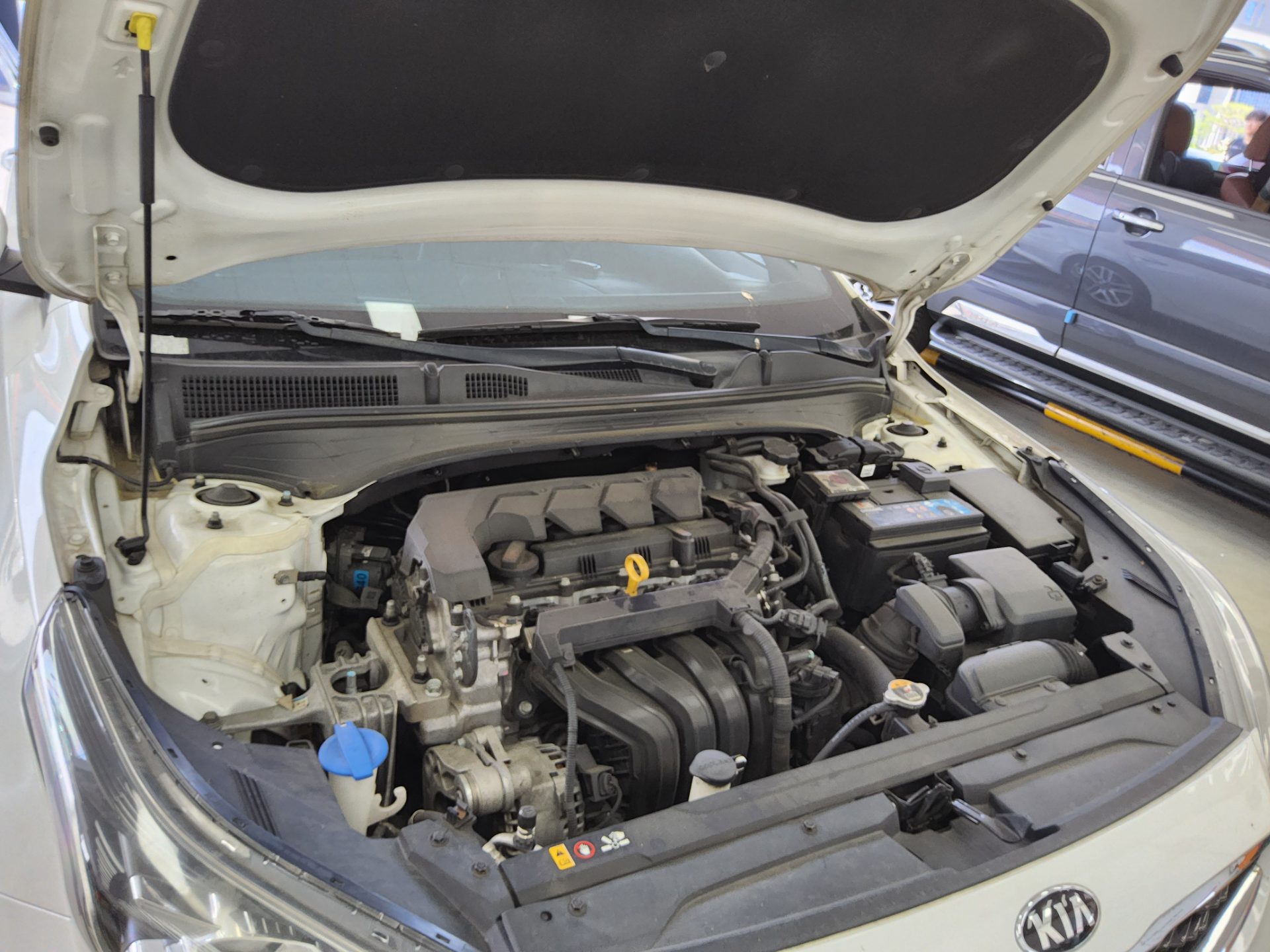 2019 - kia k3