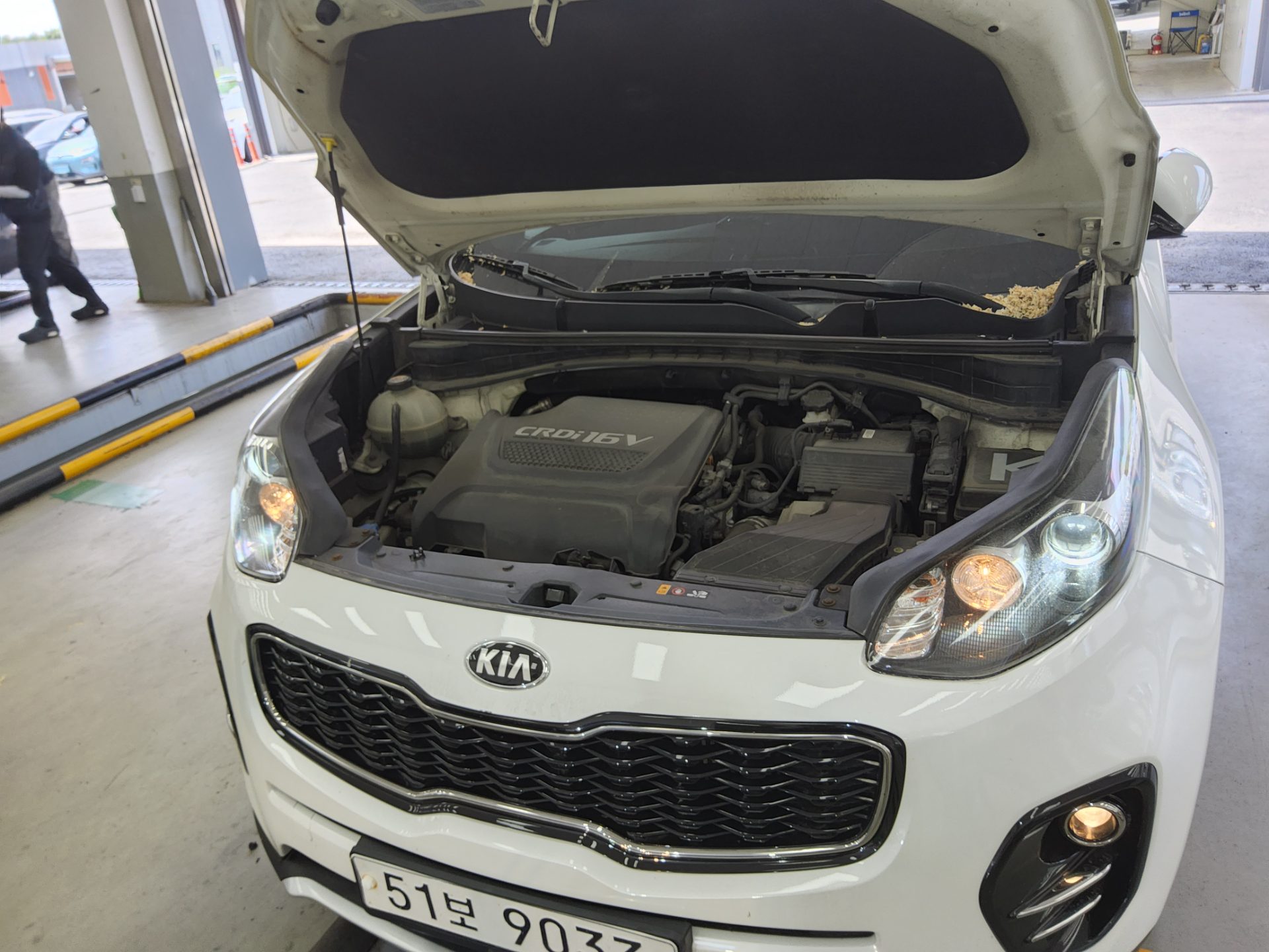 2017 - kia sportage