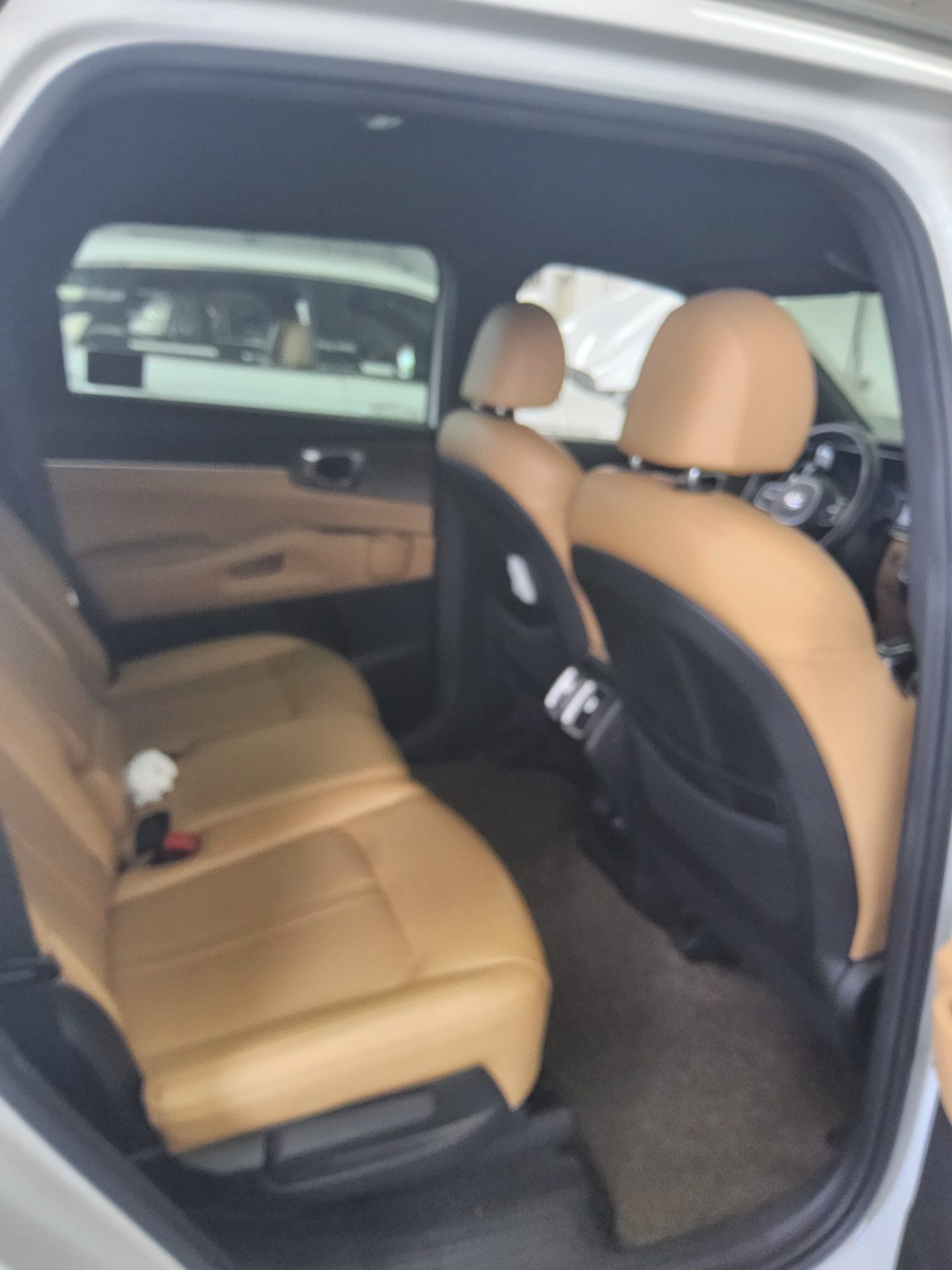 2021 - kia sorento