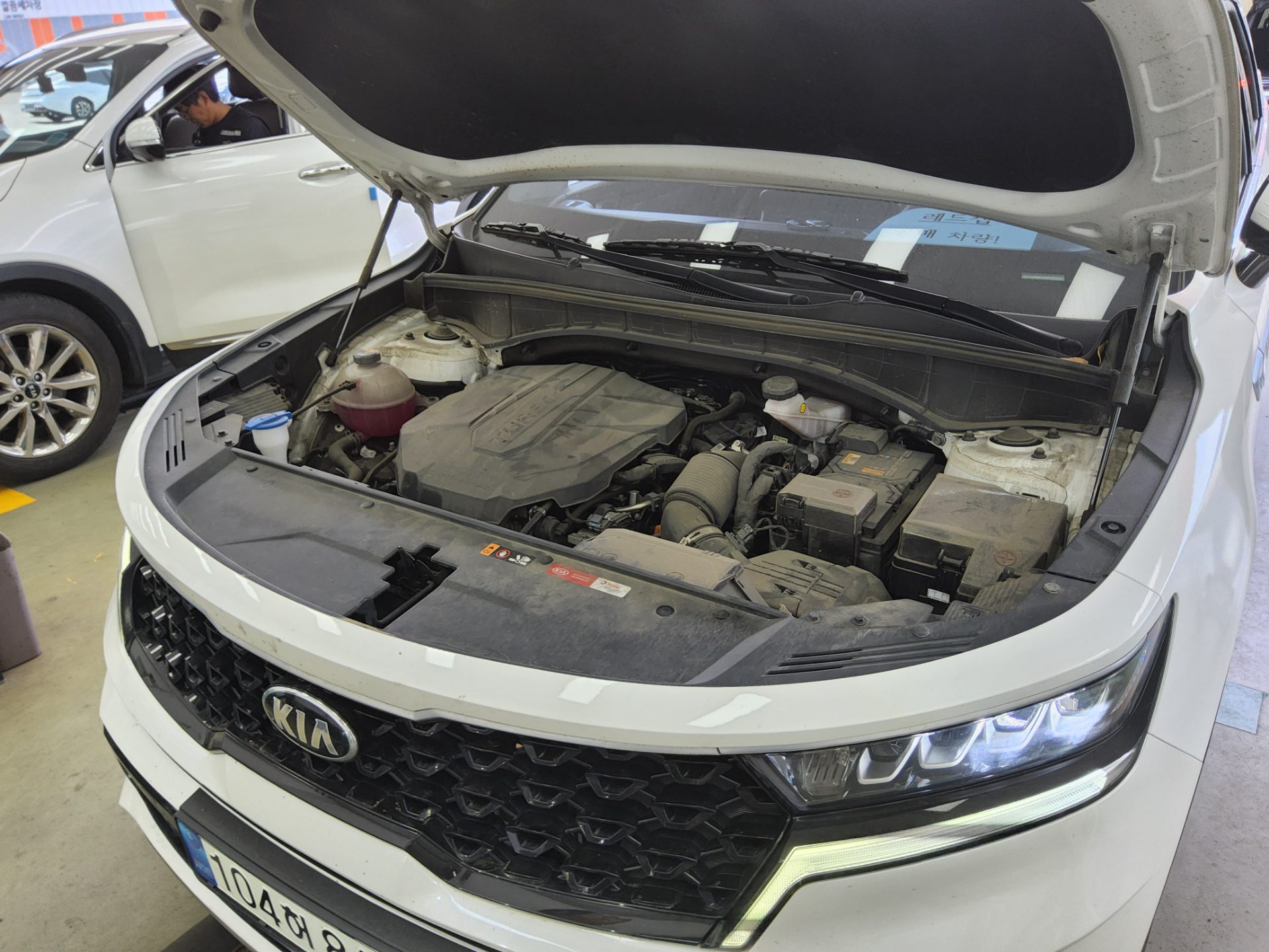 2021 - kia sorento