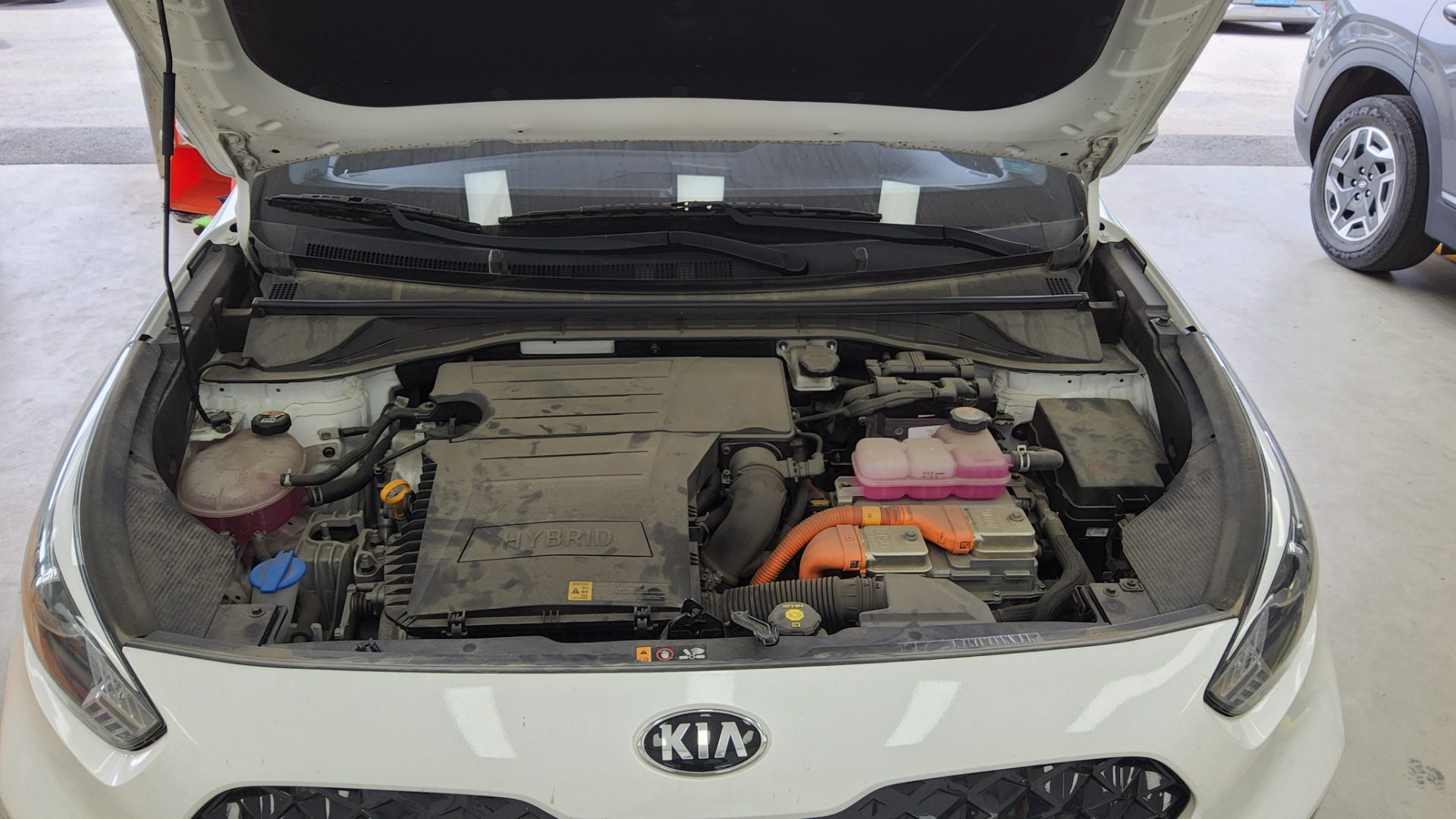 2021 - kia niro