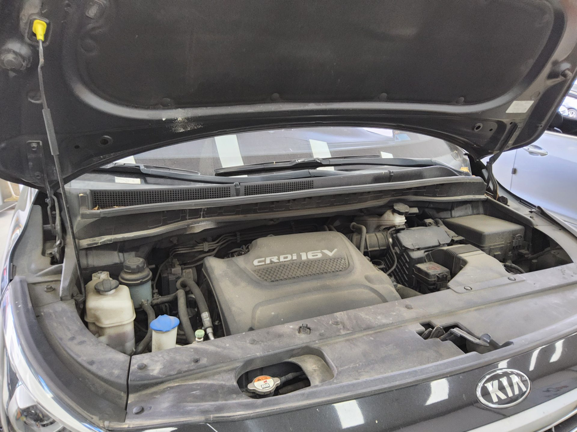 2016 - kia carnival