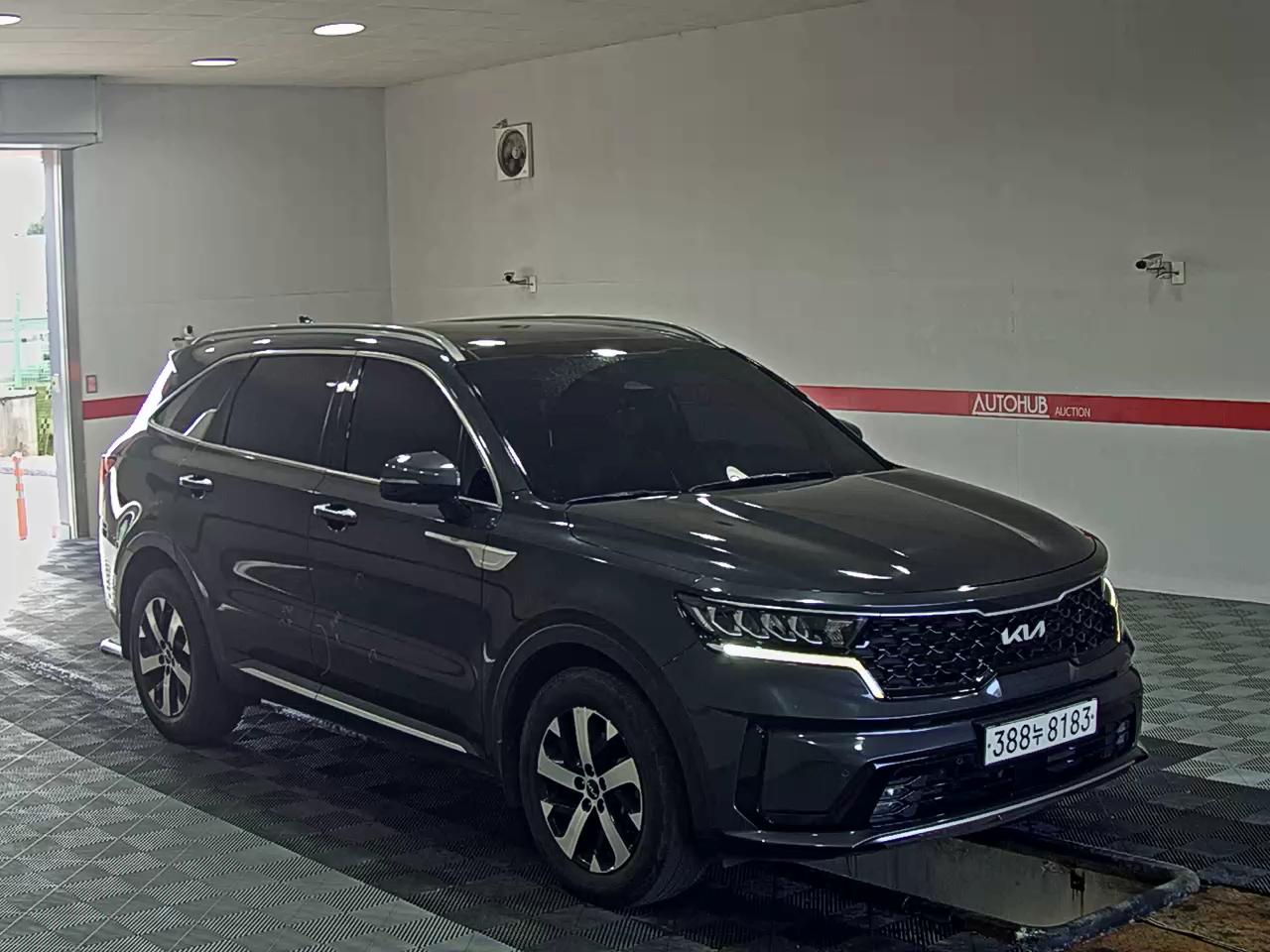 2022 - kia sorento