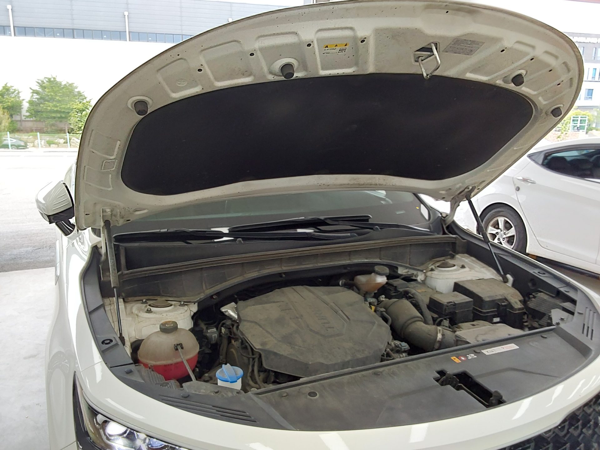2023 - kia sorento