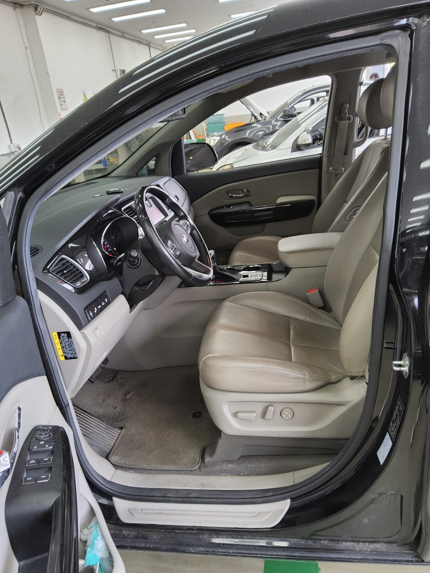 2019 - kia carnival