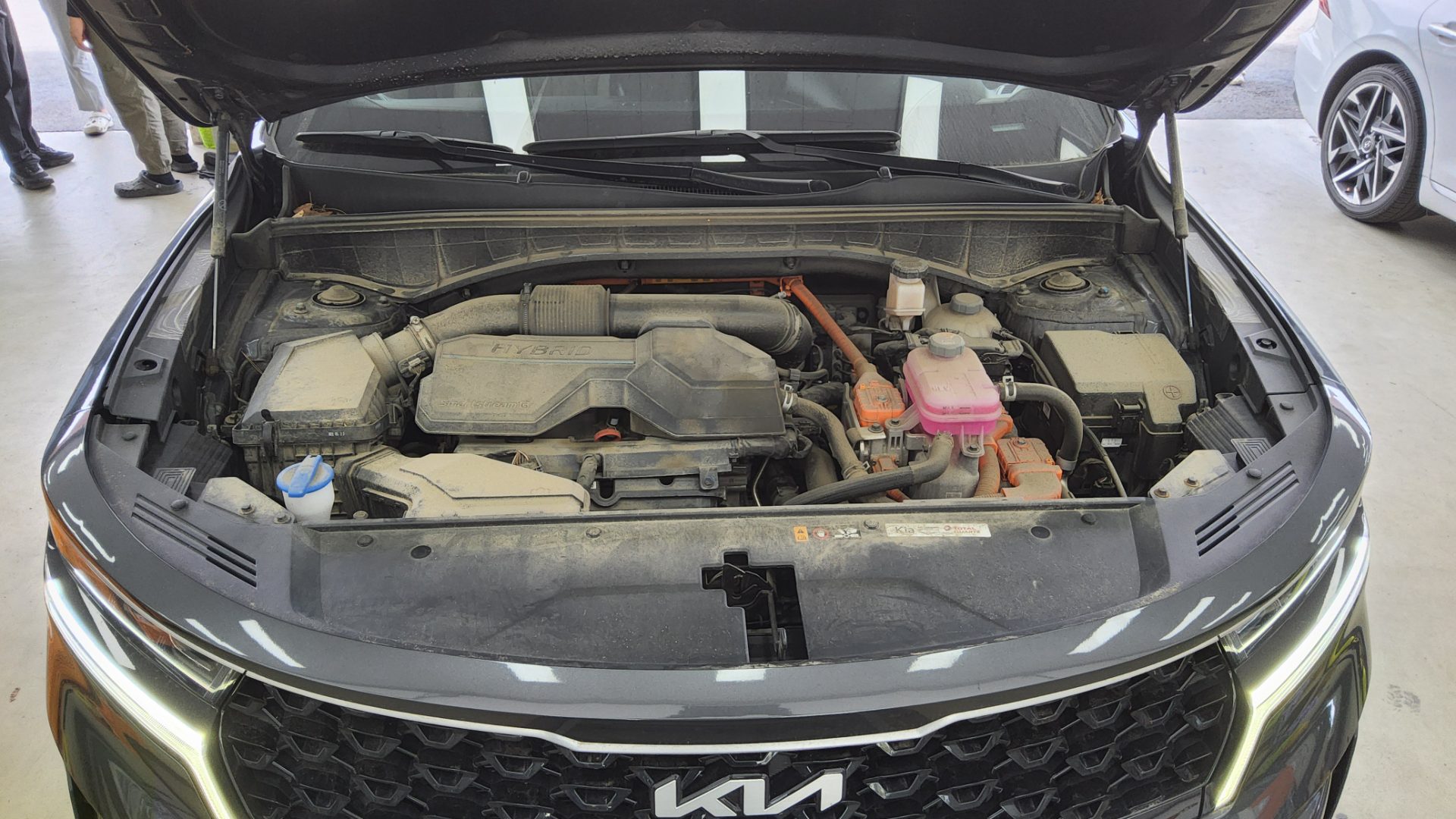 2023 - kia sorento
