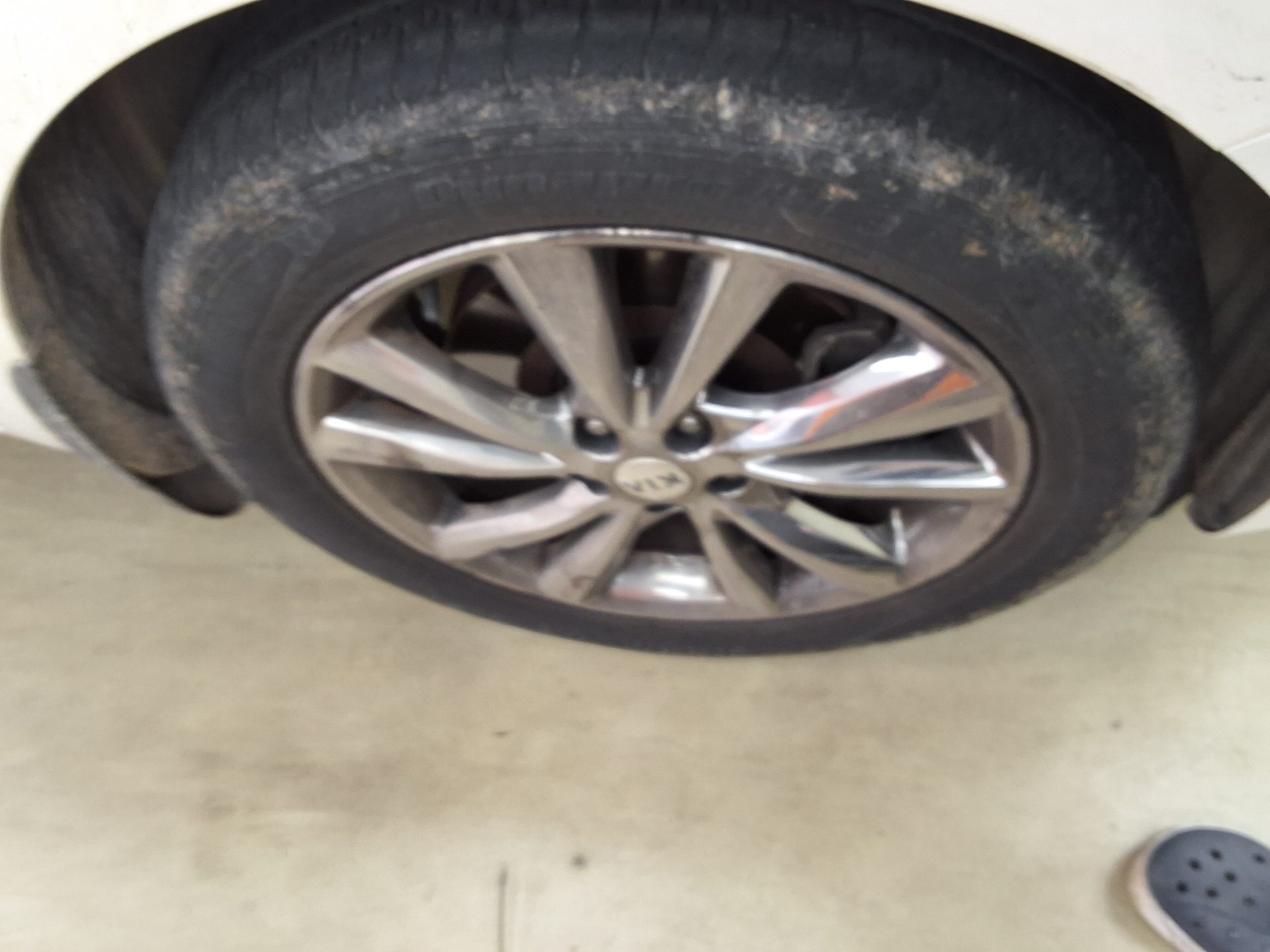 2019 - kia carnival