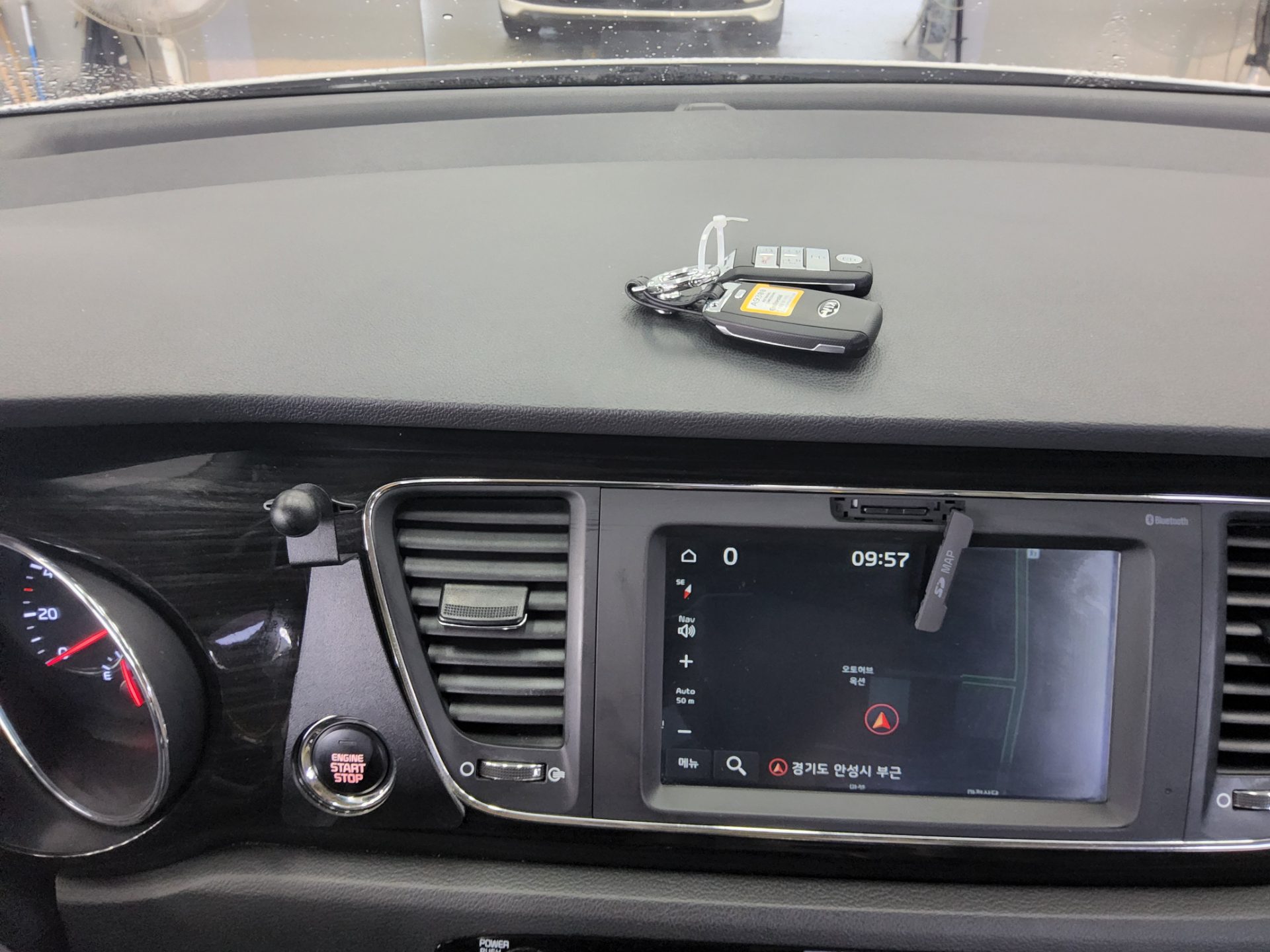2019 - kia carnival