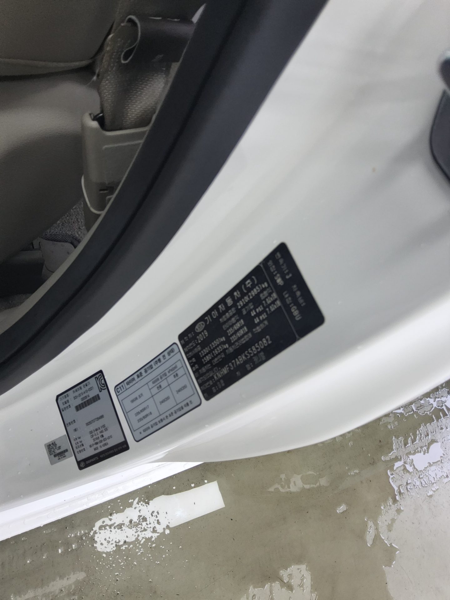 2019 - kia carnival