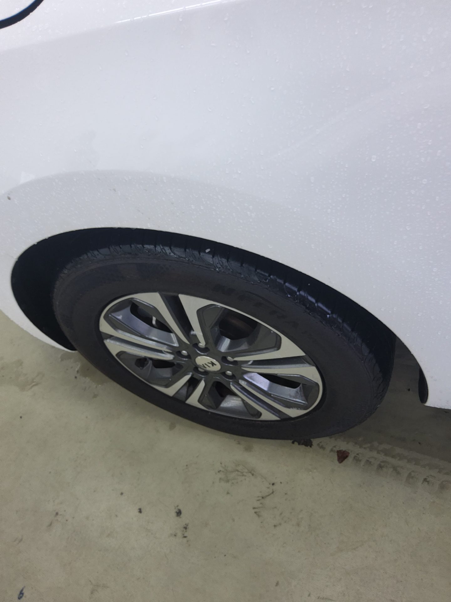 2019 - kia carnival