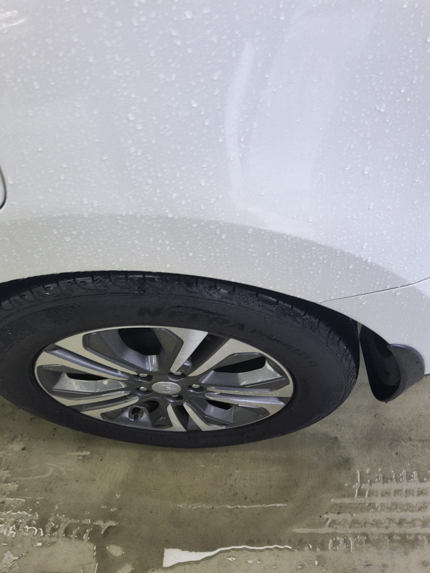 2019 - kia carnival