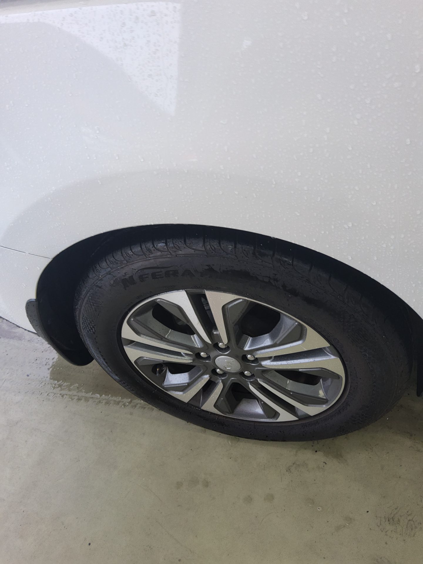 2019 - kia carnival