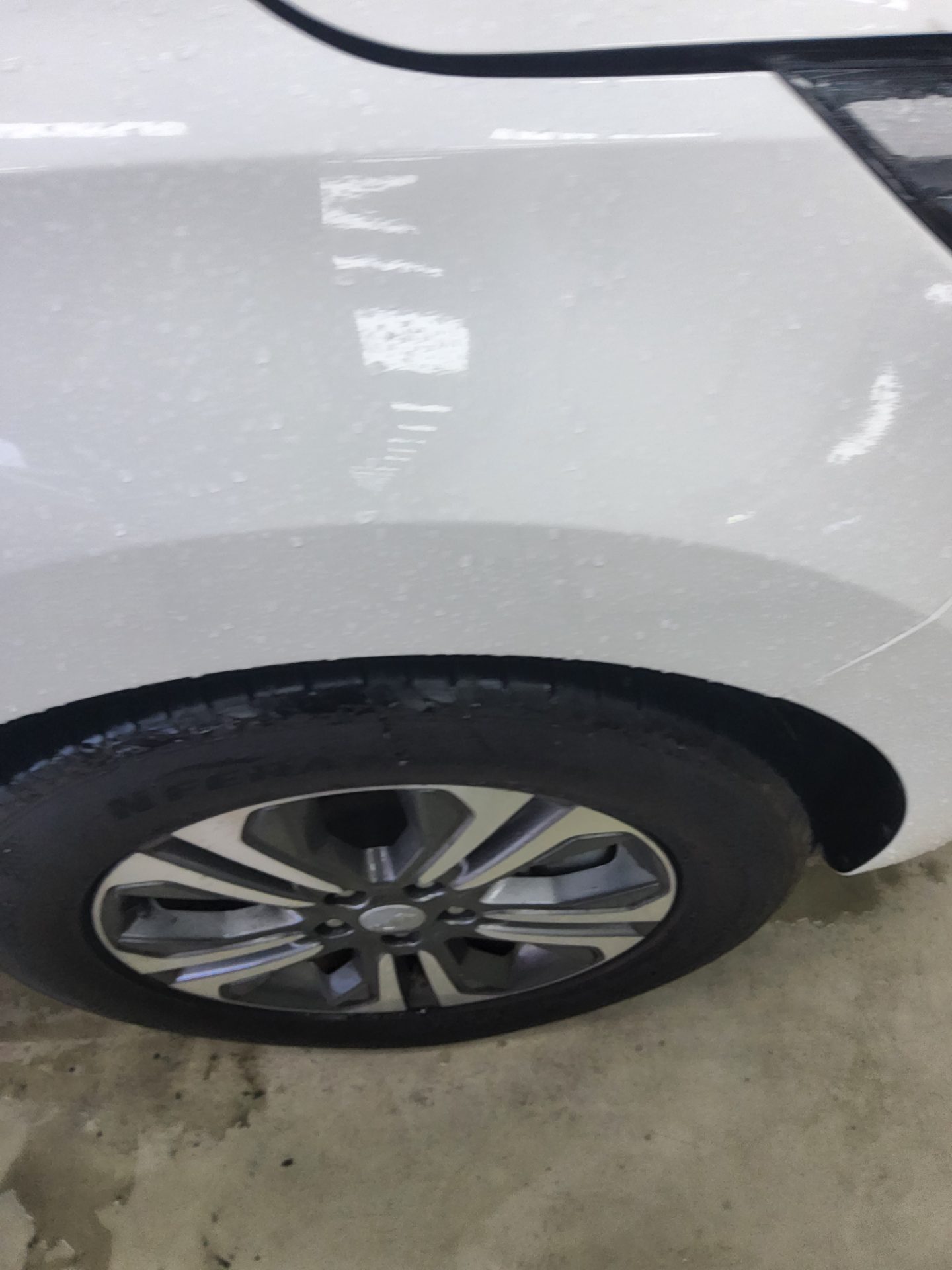 2019 - kia carnival