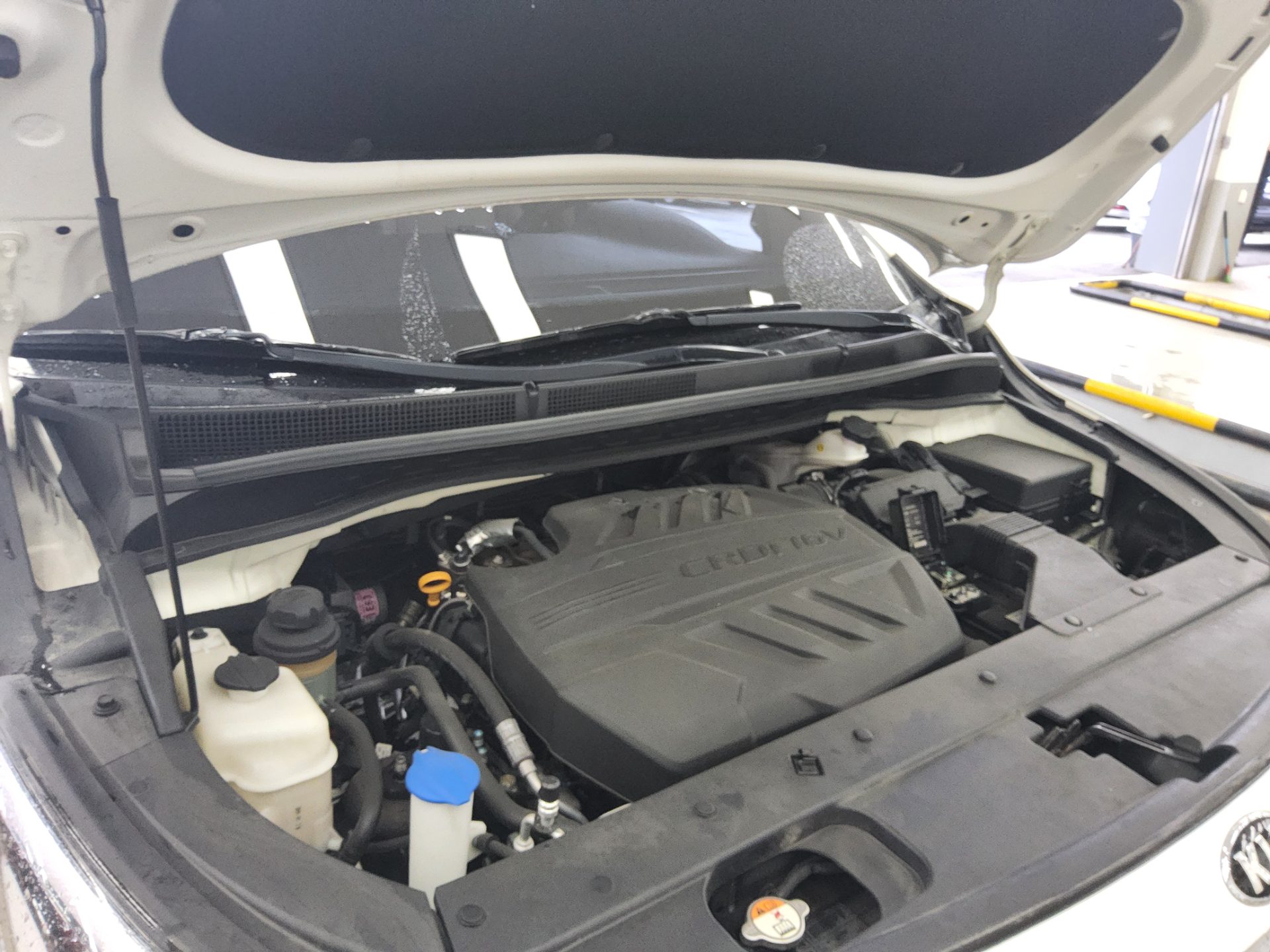 2019 - kia carnival