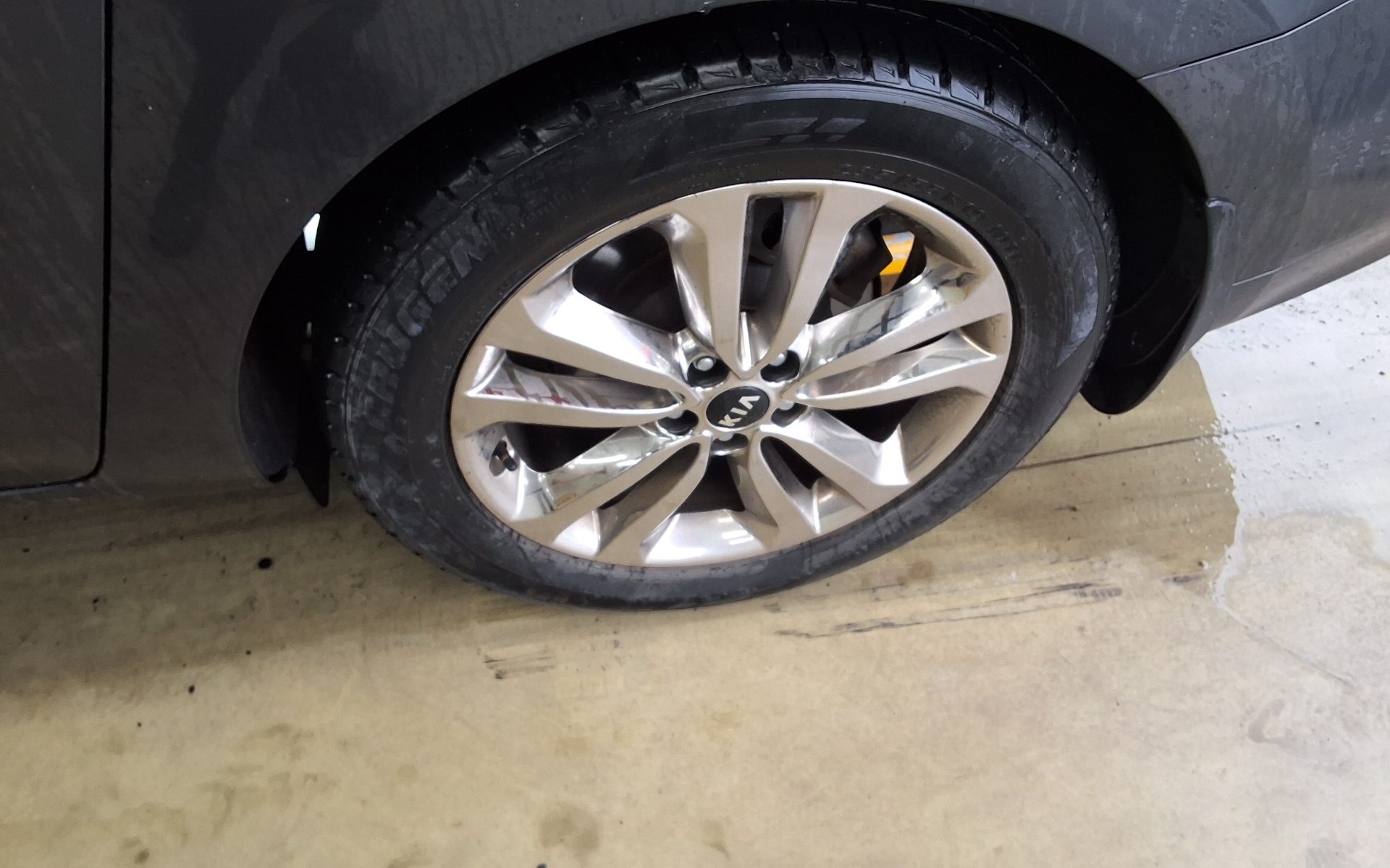 2015 - kia carnival