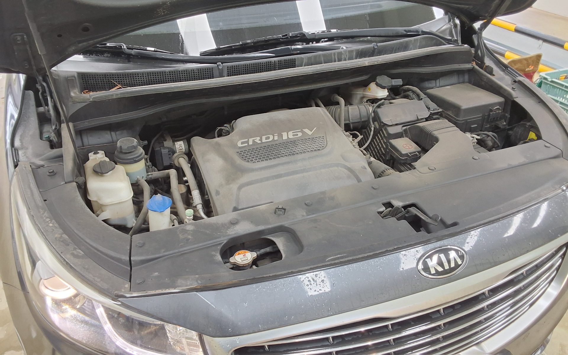 2015 - kia carnival