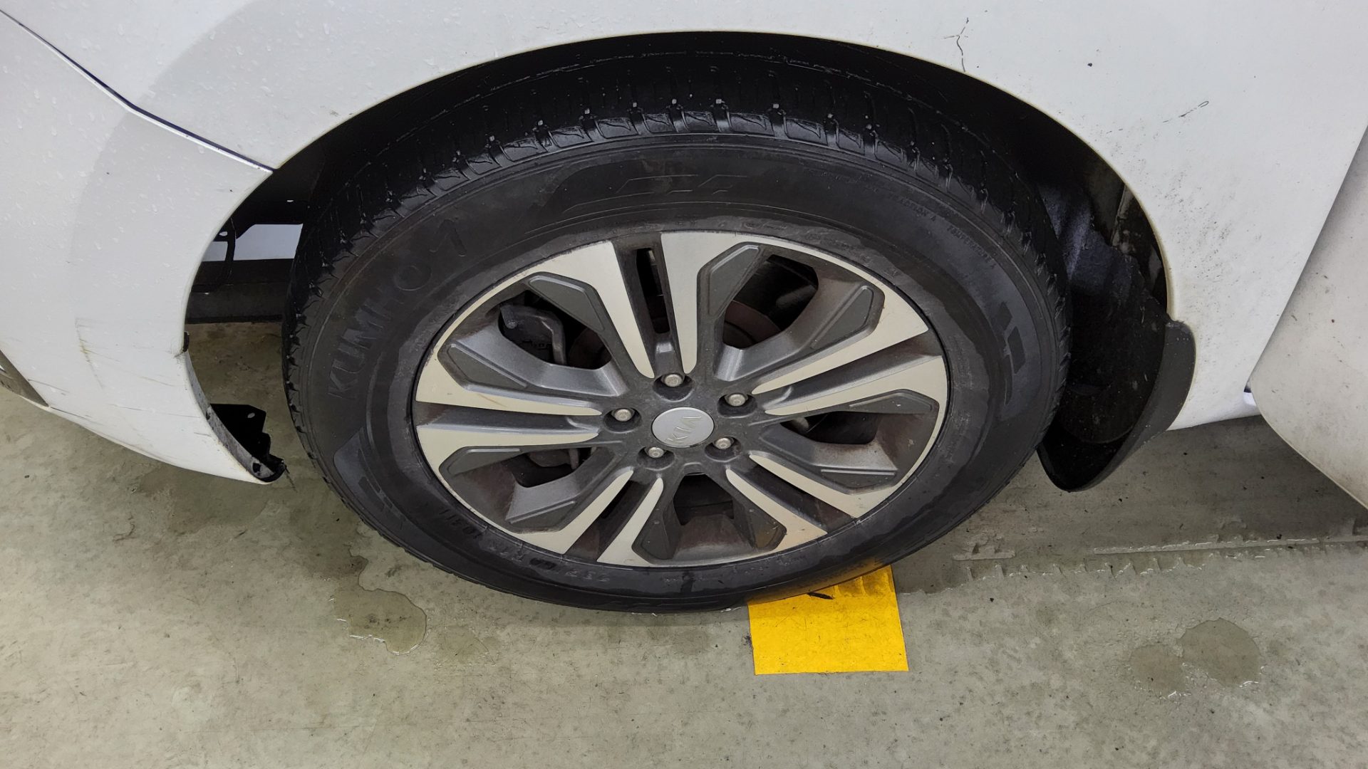 2019 - kia carnival