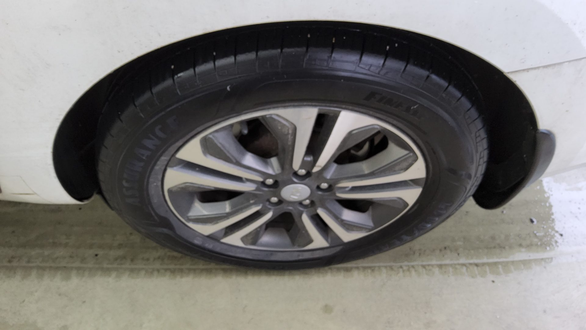2019 - kia carnival