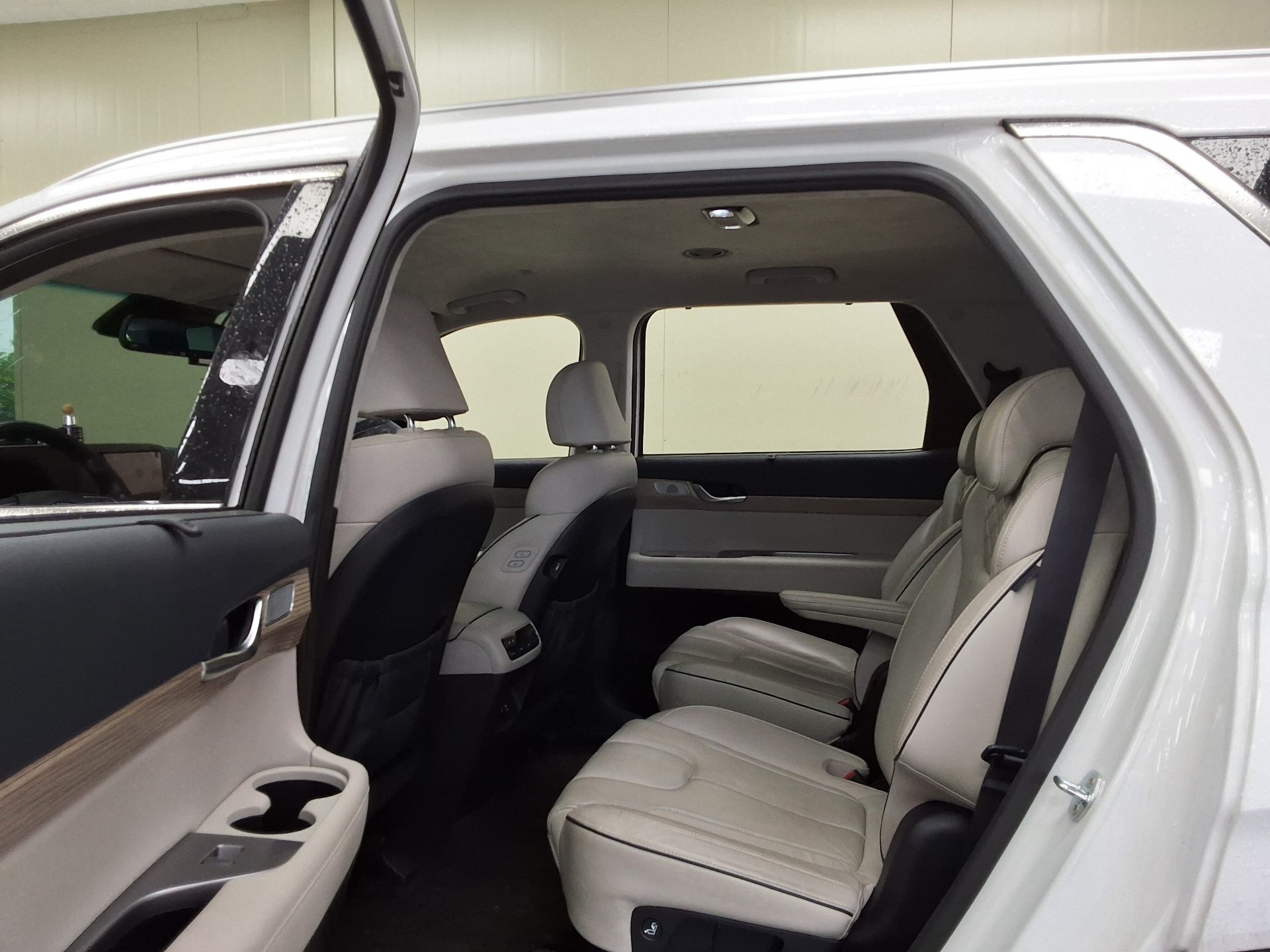 2021 - hyundai palisade