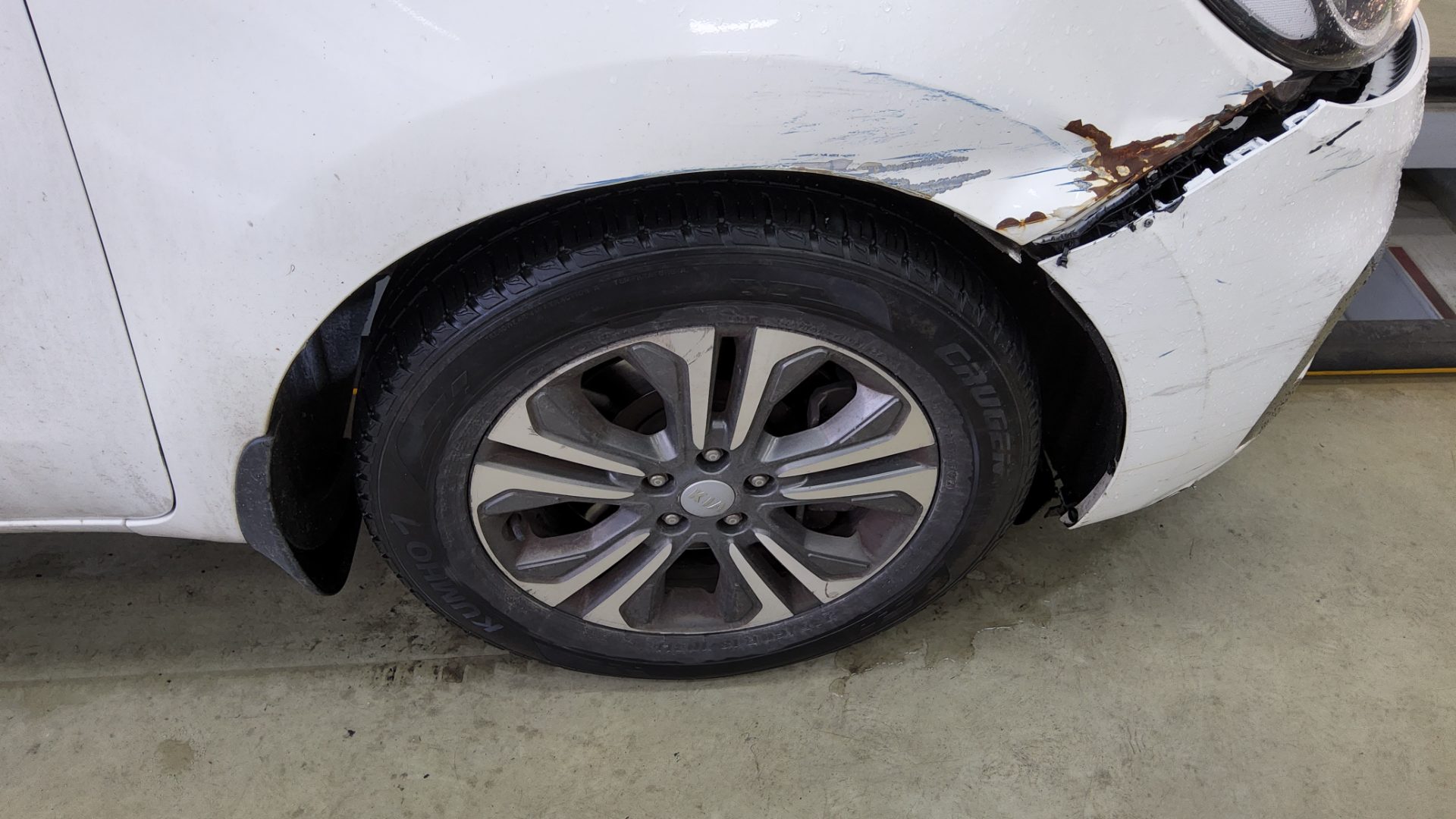 2019 - kia carnival