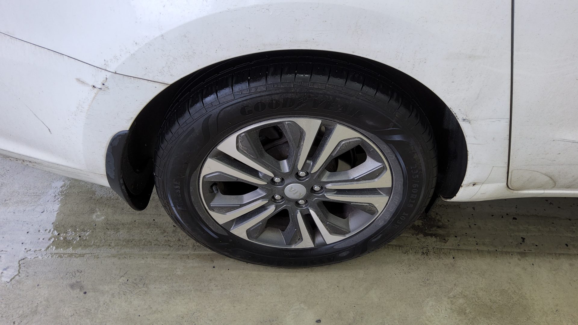 2019 - kia carnival