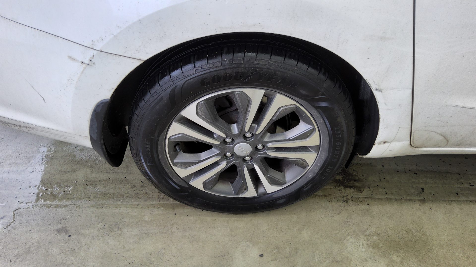 2019 - kia carnival