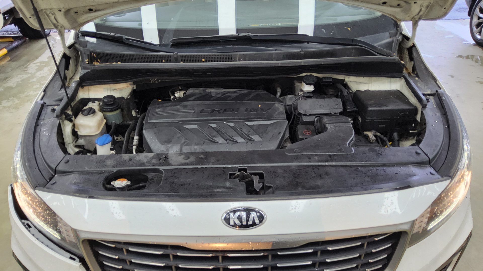 2019 - kia carnival