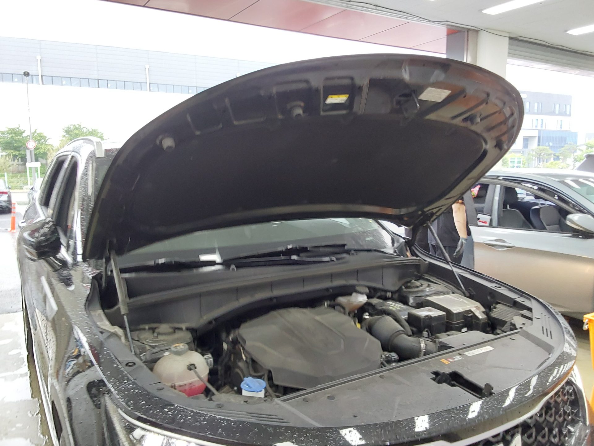 2022 - kia sorento