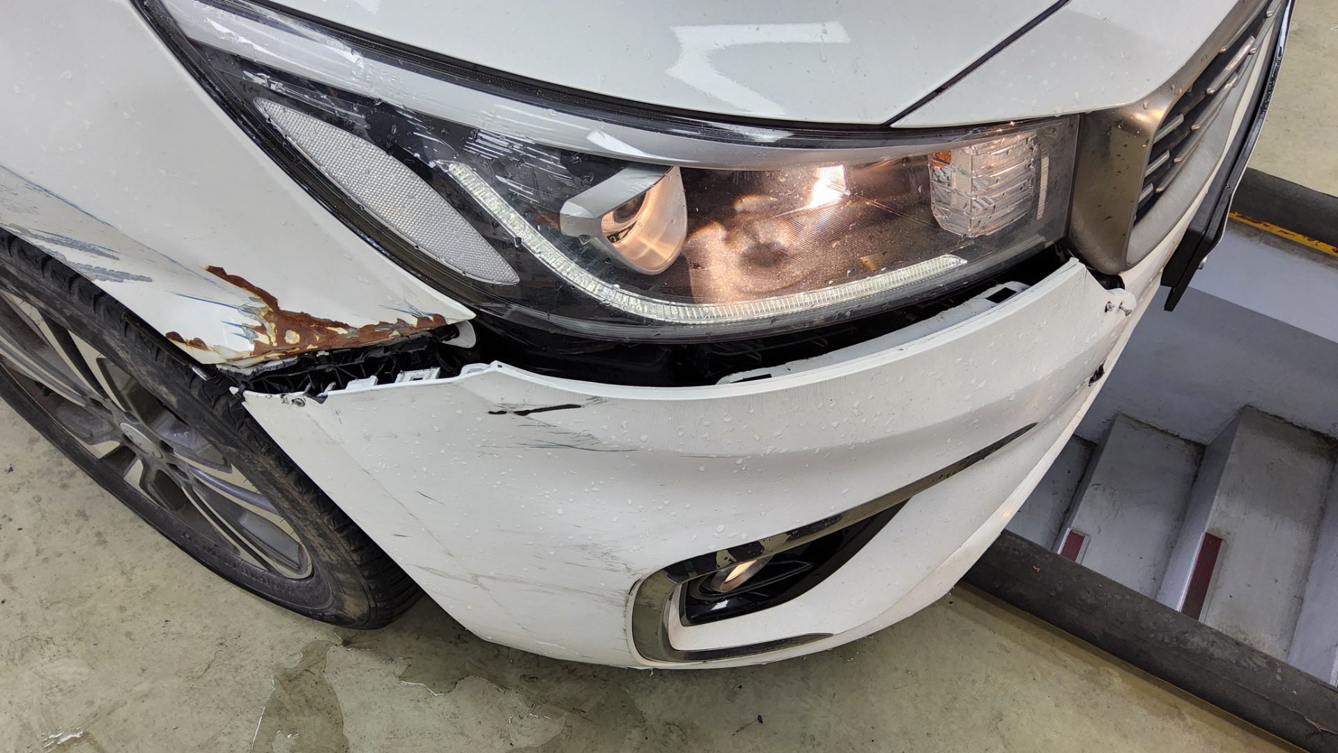 2019 - kia carnival