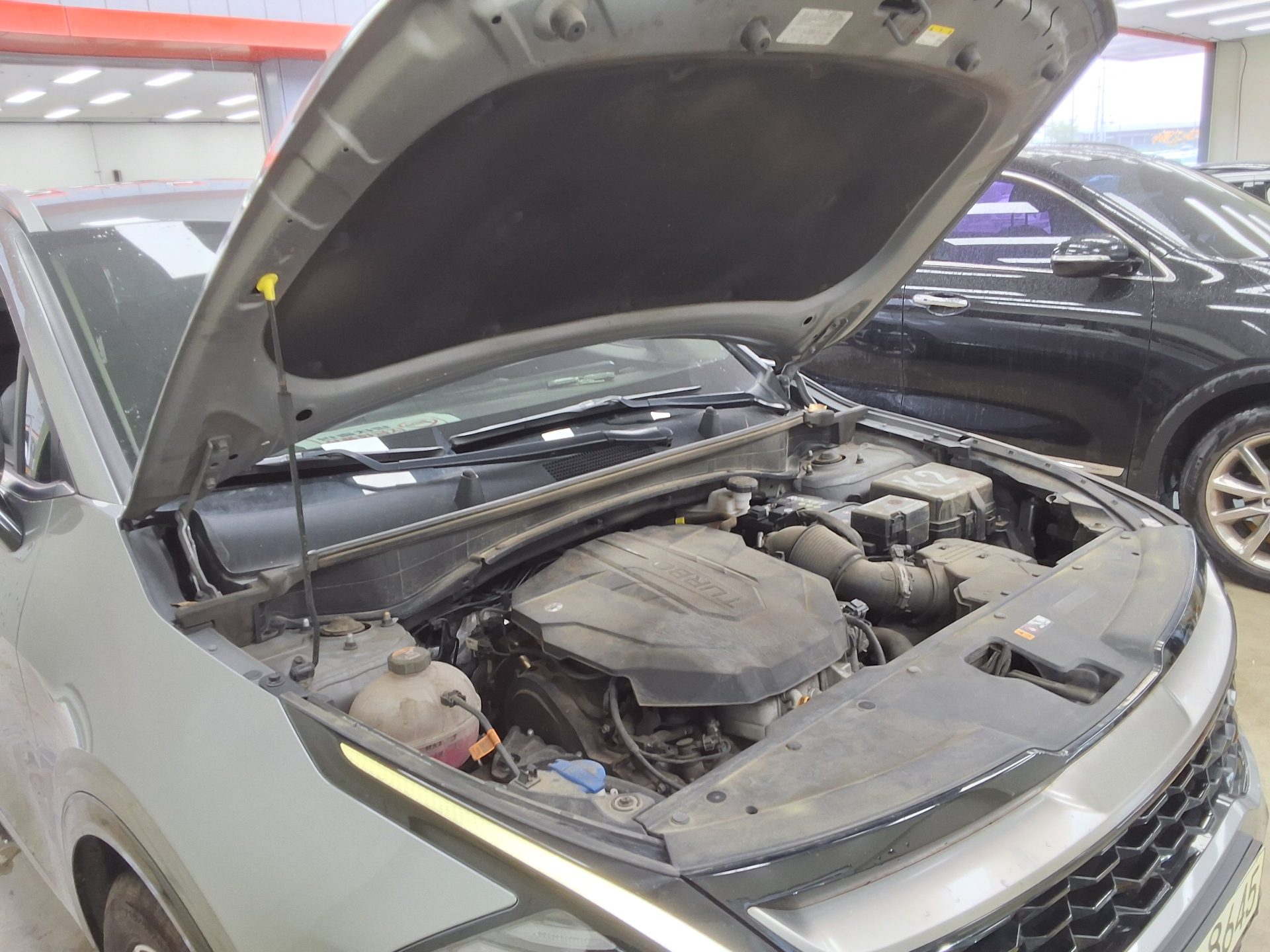 2022 - kia sportage